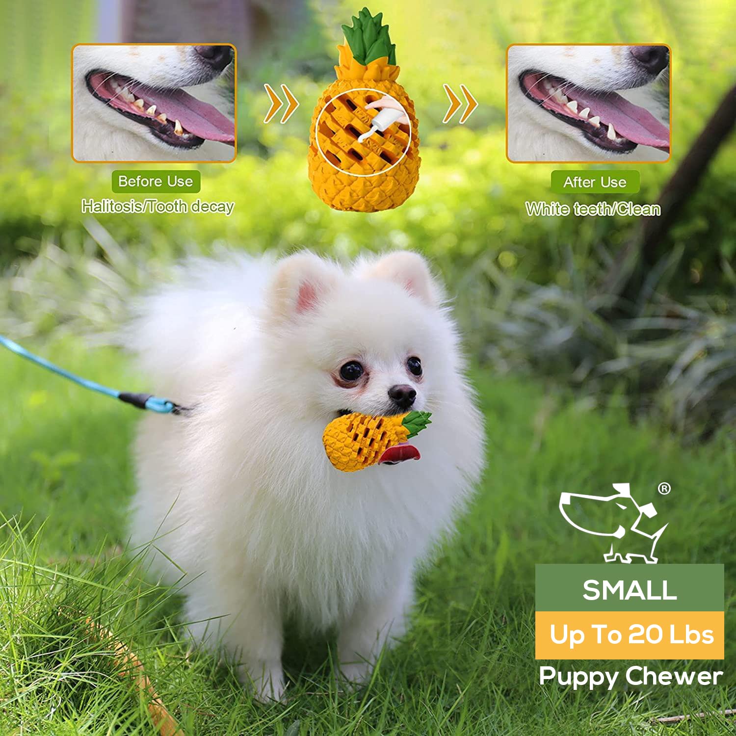 M.C.Works Puppy Chew Toys, Dog Chew Toys For Average Chewer, Tough Dog Dental Chews Toy, Indestructible Dog Toys For Small Dogs,