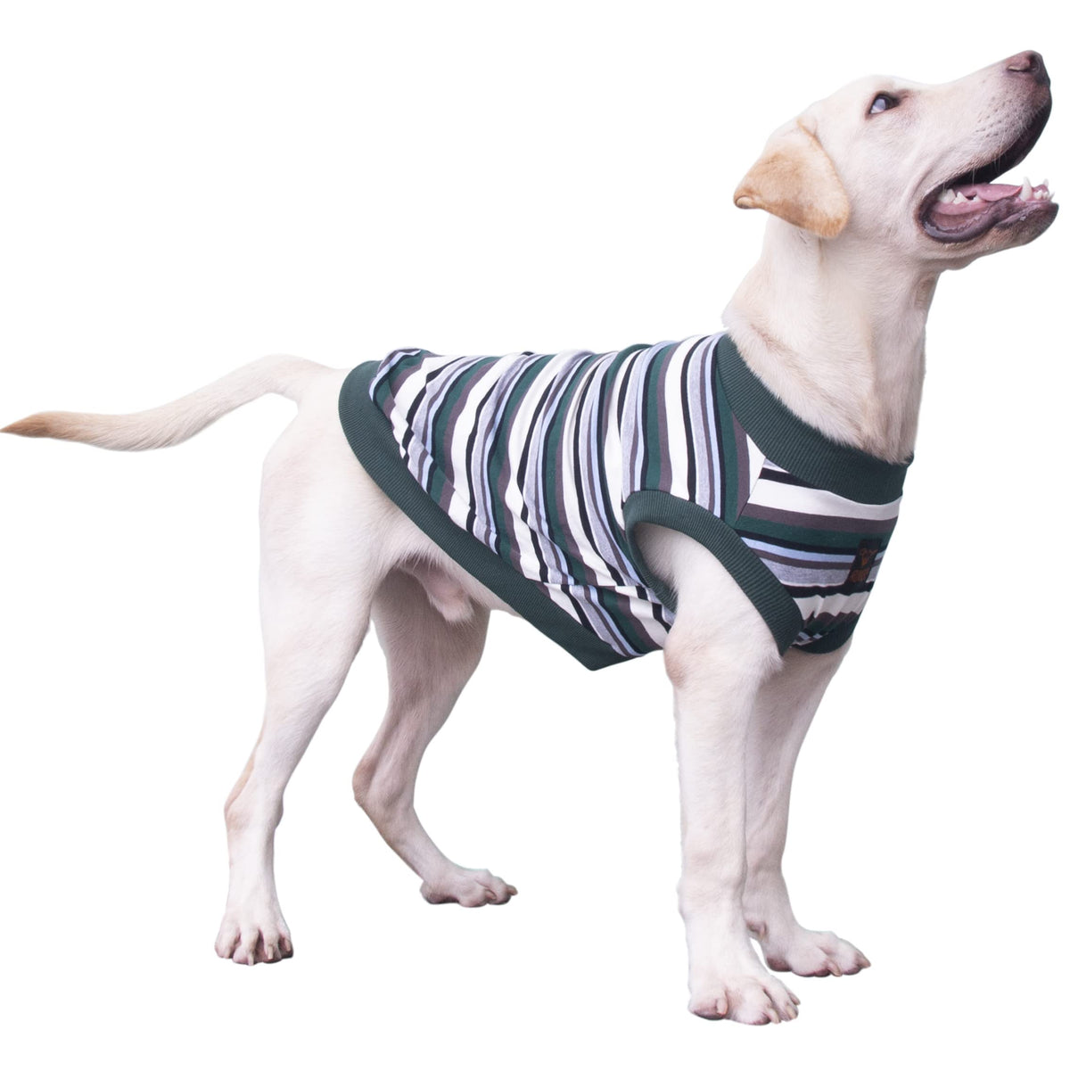 Arunners Extra Large Dog T Shirts Clothes Sleeveless Tank Top Vest For Labrador Rottweiler Great Dane, Green, 3X-Large