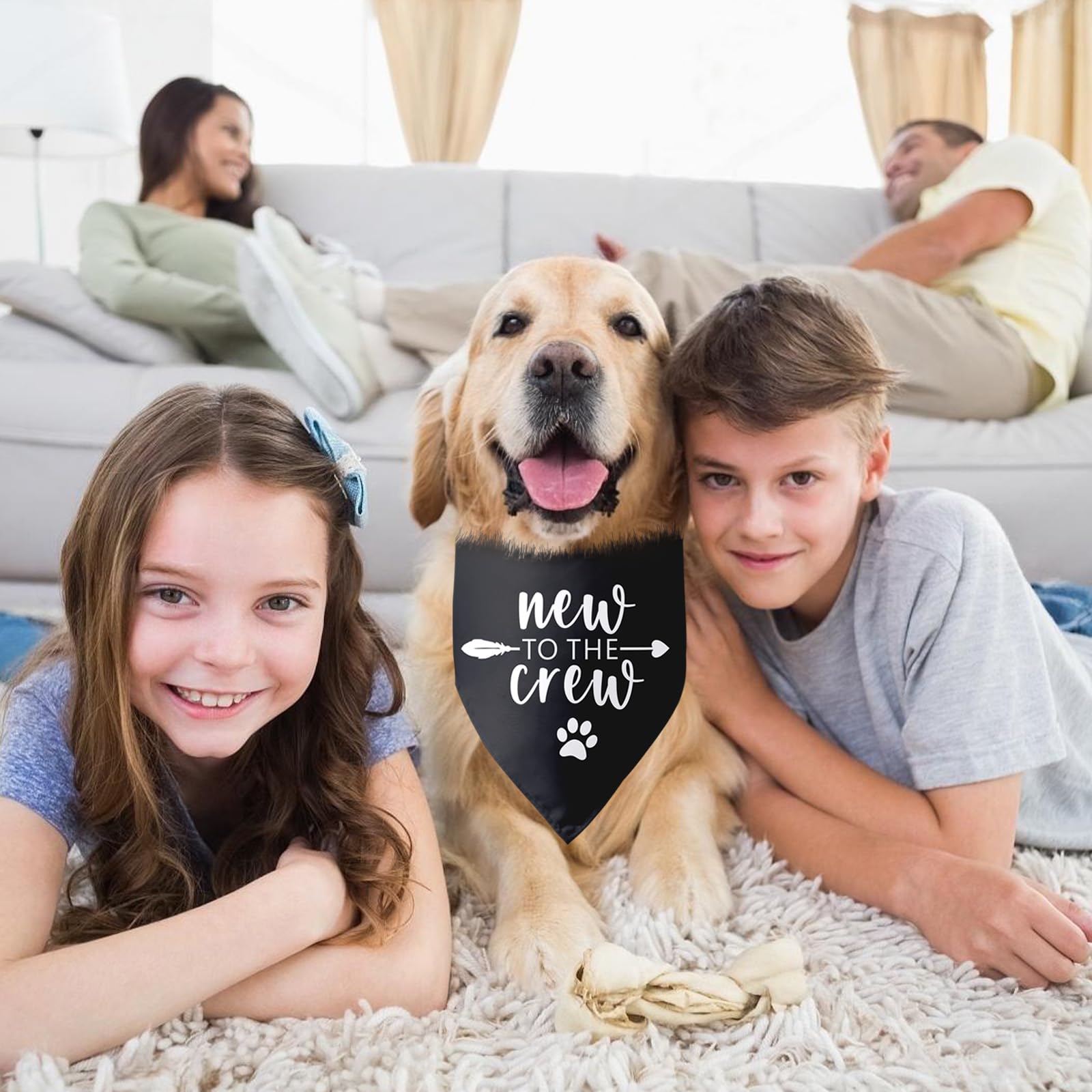 New to The Crew Dog Bandana New Puppy Announcement Gift for New Owners New Puppy Gift New Dog Announcement Photo Props Accessori