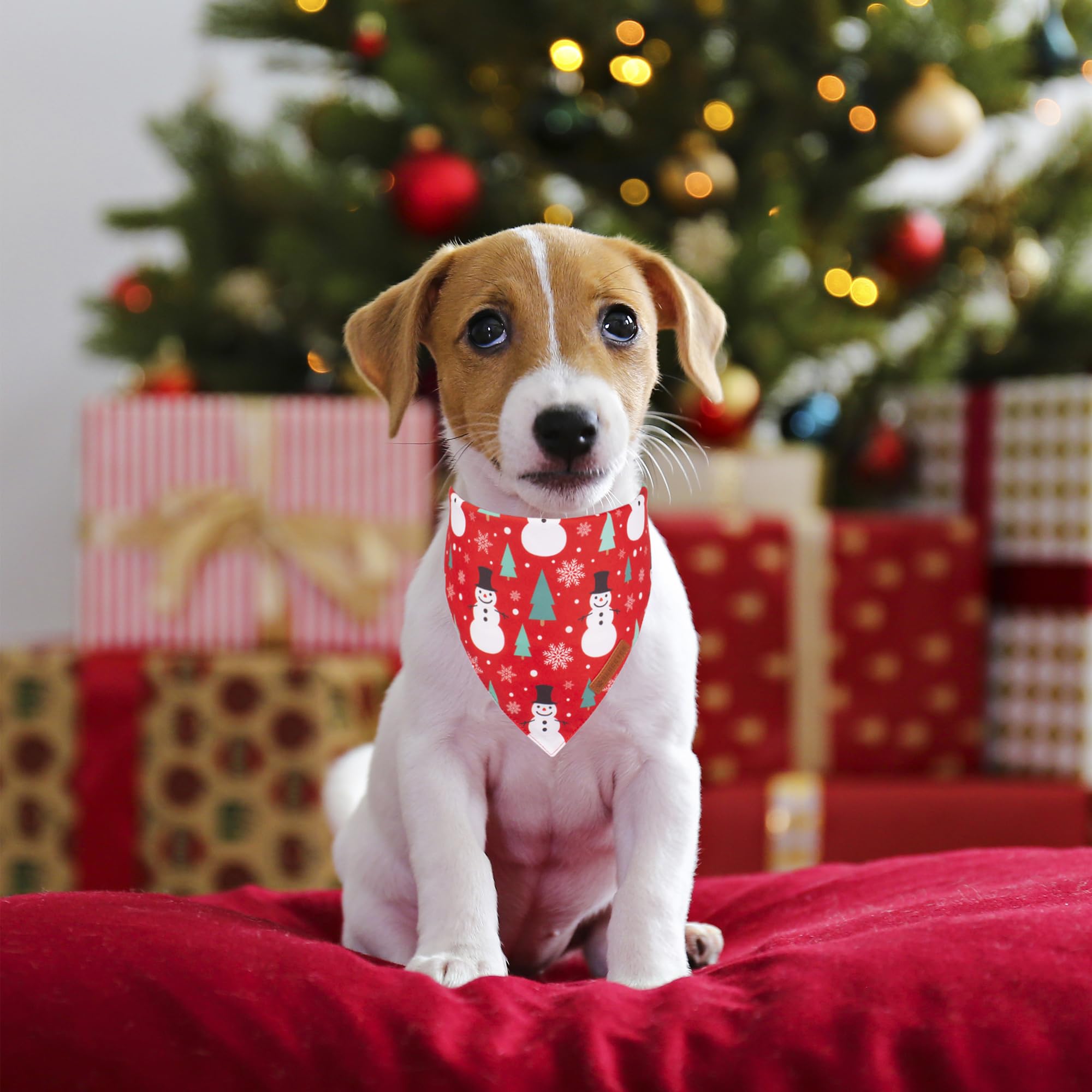 ADOGGYGO Christmas Dog Bandana, Snowman Santa Pet Scarf, Premium Durable Fabric, Adjustable Fit Christmas Bandanas for Small Dog