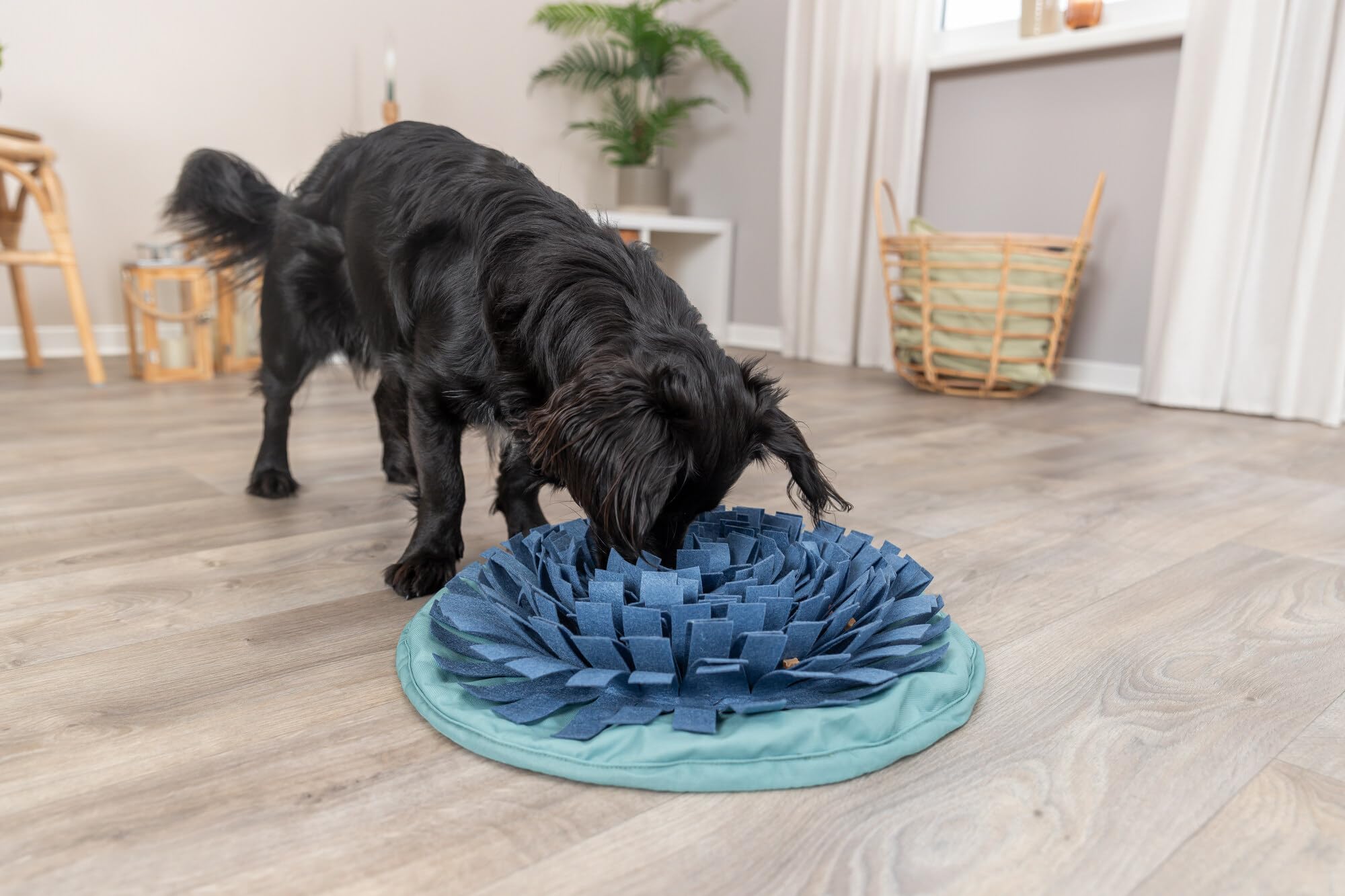 TRIXIE Snuffle & Seek Bowl, Adjustable Snuffle Mat for Dogs, Interactive Slow Feeder, Level 1 Enrichment Puzzle for Dogs & Cats