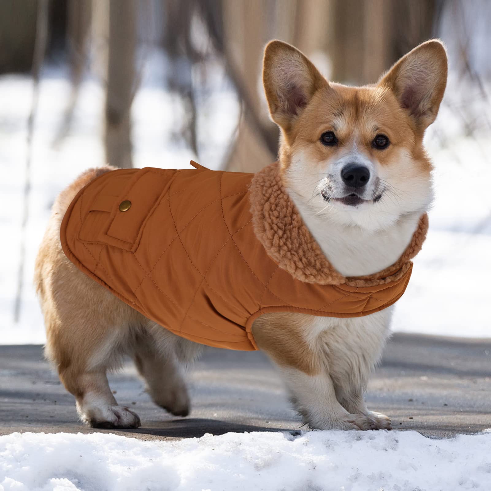 Queenmore Cold Weather Dog Coat, Winter Quilting Dog Jacket Ultra Warm Thick Plush Lining With Storage Pockets (Brown, X-Small)