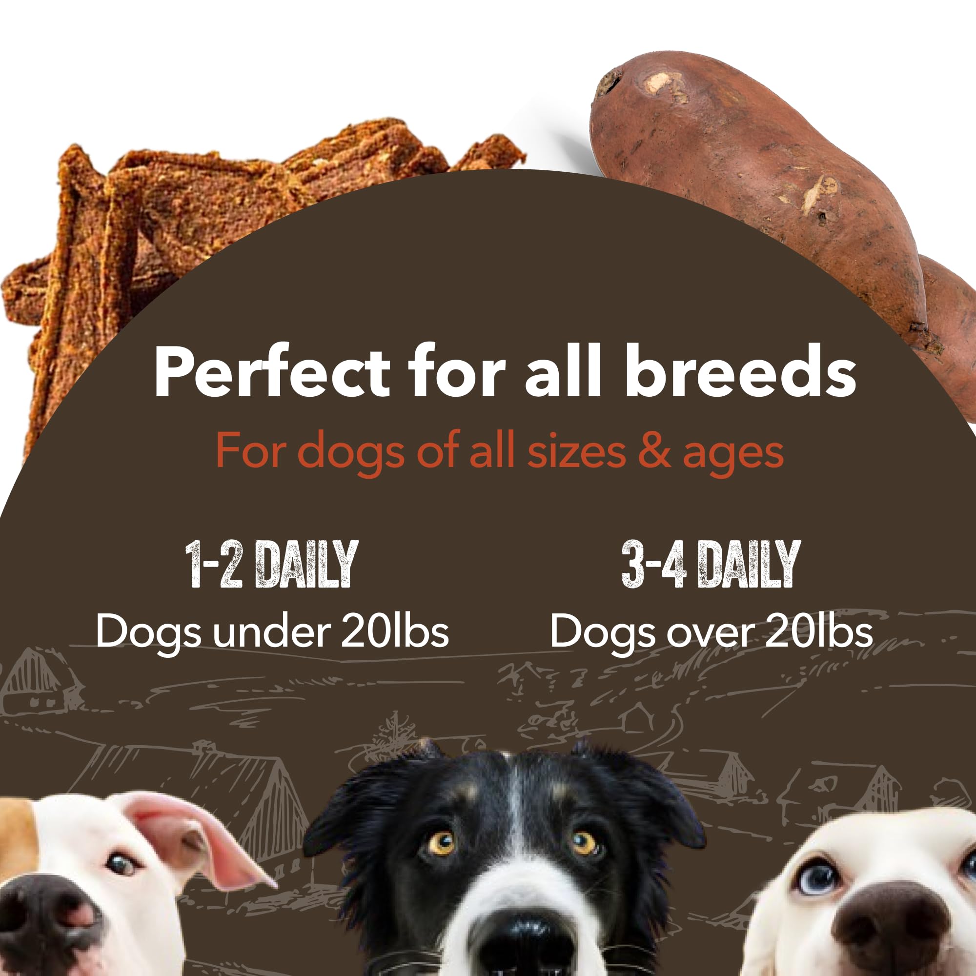 Gaines Family Farmstead Salmon & Sweet Potato Fillets, All-Natural Dog Treats - Wild Caught Alaskan Salmon, Soft Chew, Limited I
