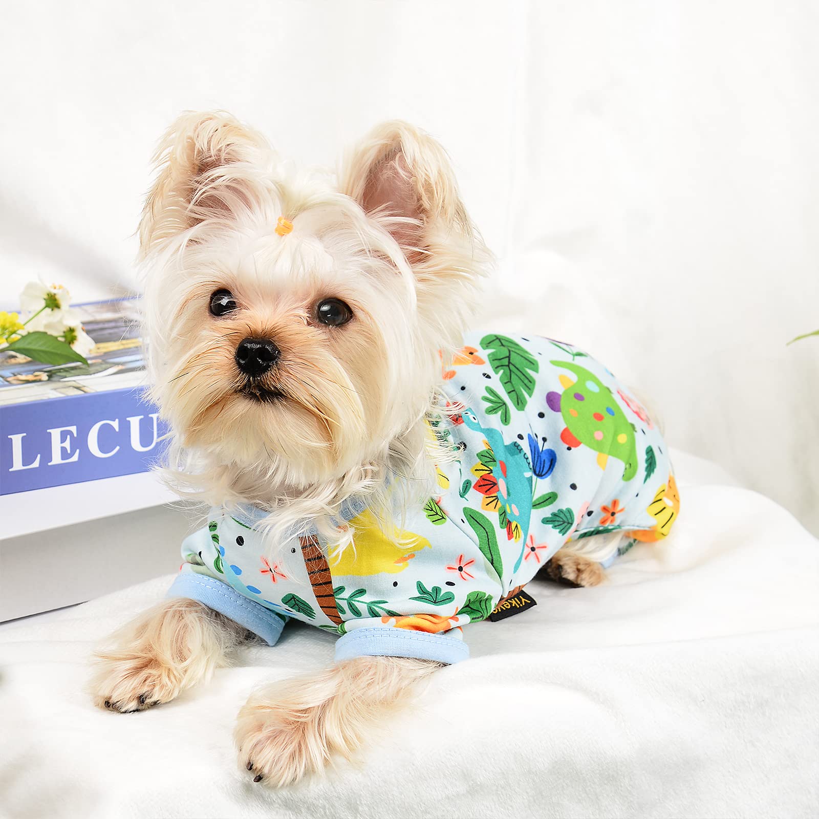 Dog Pajamas For Small Dogs Girl Boy Puppy Pjs Summer Pet Onesies For Chihuahua Yorkie Teacup Cute Soft Material Stretch Able Cat Clothes Outfit Apparel Doggy Jumpsuit (Small, Dinosaur)