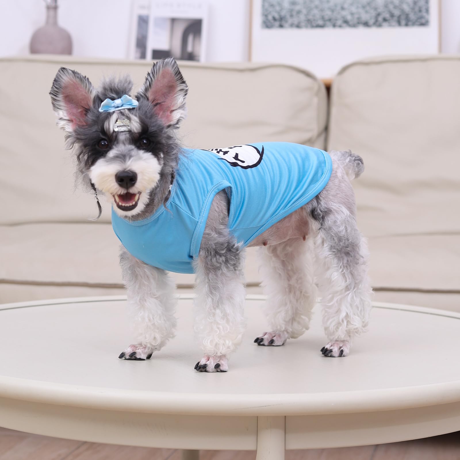 Cutebone Soft Dog Shirt Thing 1 Lightweight Small Puppy T-Shirts Pet Clothes Breathable Tee Vest Stretchy Outfit Cat Apparel Bx0