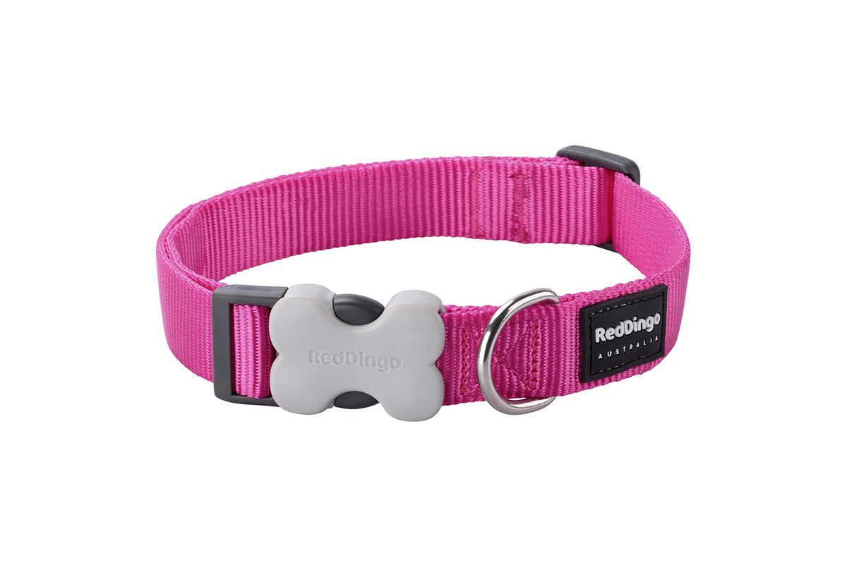 Red Dingo Classic Dog Collar, Small, Hot Pink