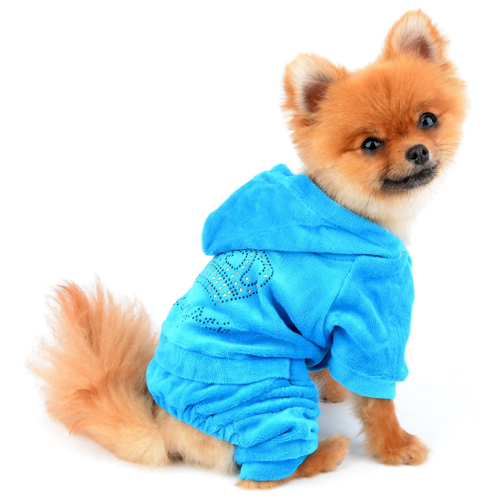 Smalllee_Lucky_Store Pet Clothes For Small Dog Cat Soft Velvet Crown Jumpsuit Coat Hooide Pajamas Tracksuit Blue Xl