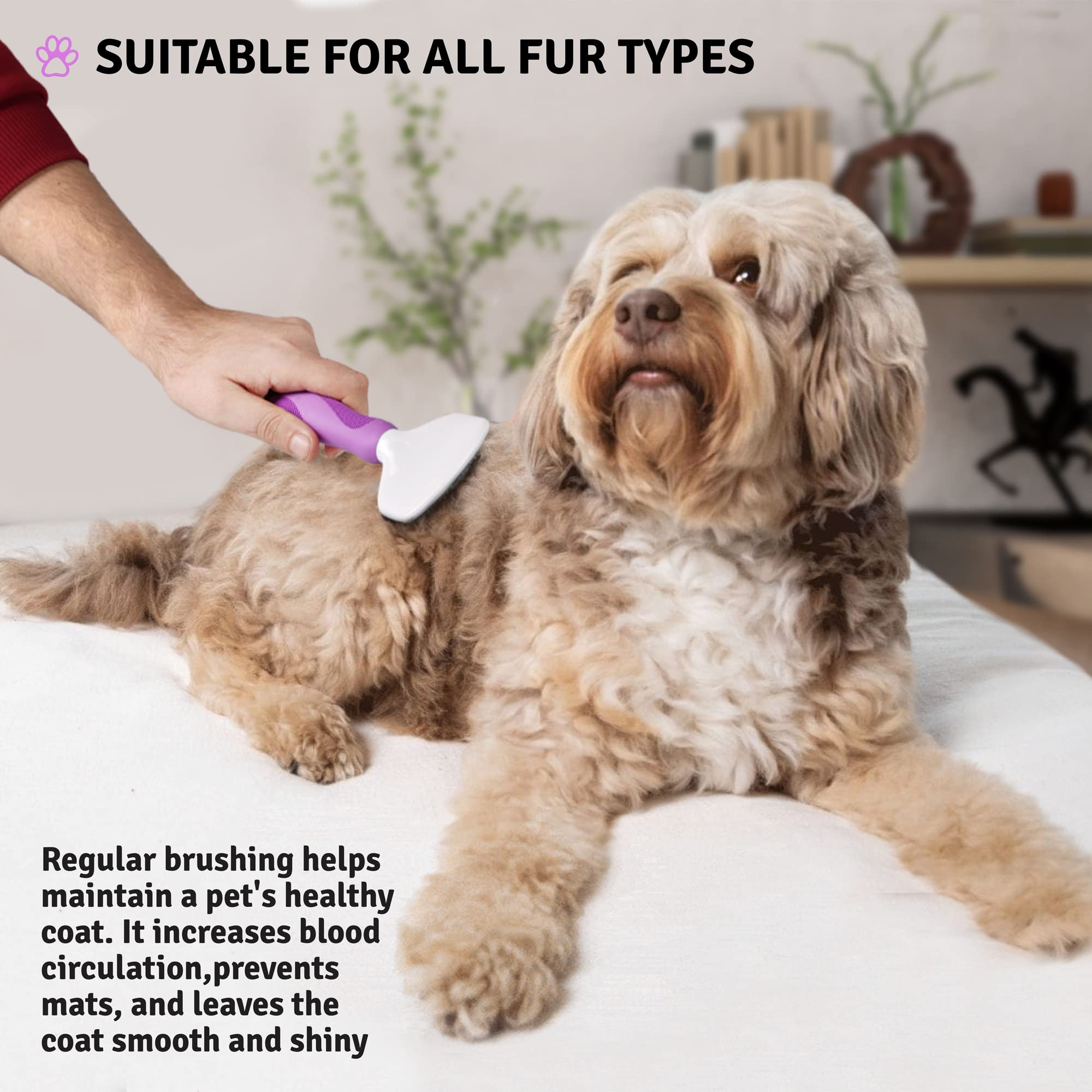 Poodle Pet Slicker Brush For Dogs, Cats, Rabbits - Dog Slicker Brush For Matted/Loose Hair, Fur, Knot - Doodle Brush For Dogs Short Hair & Long Hair - Dog Brush For Goldendoodle Grooming & Shredding