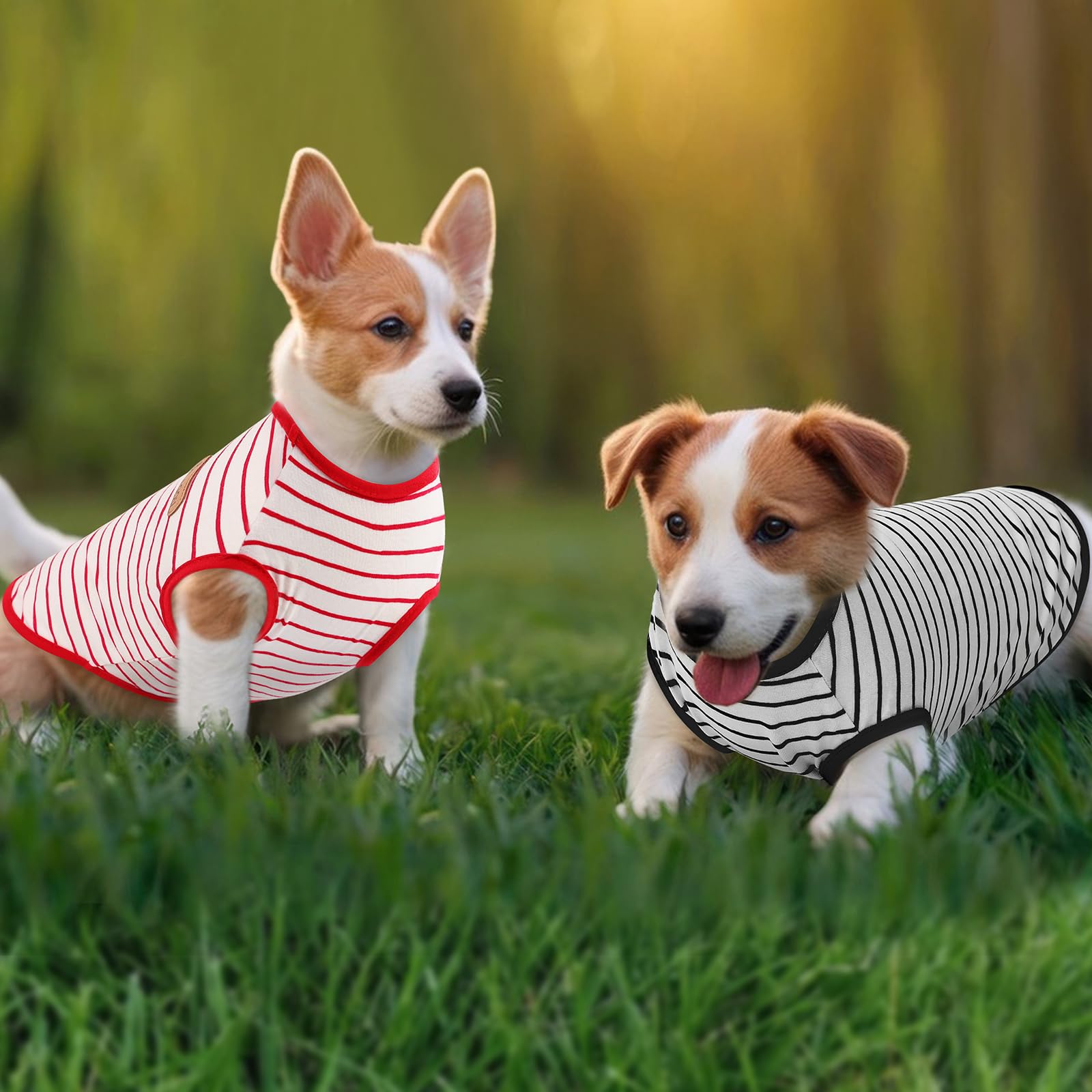 Preferhouse Redblack-L Dog T-Shirt, Large, Striped, Polyester, 2 Pack