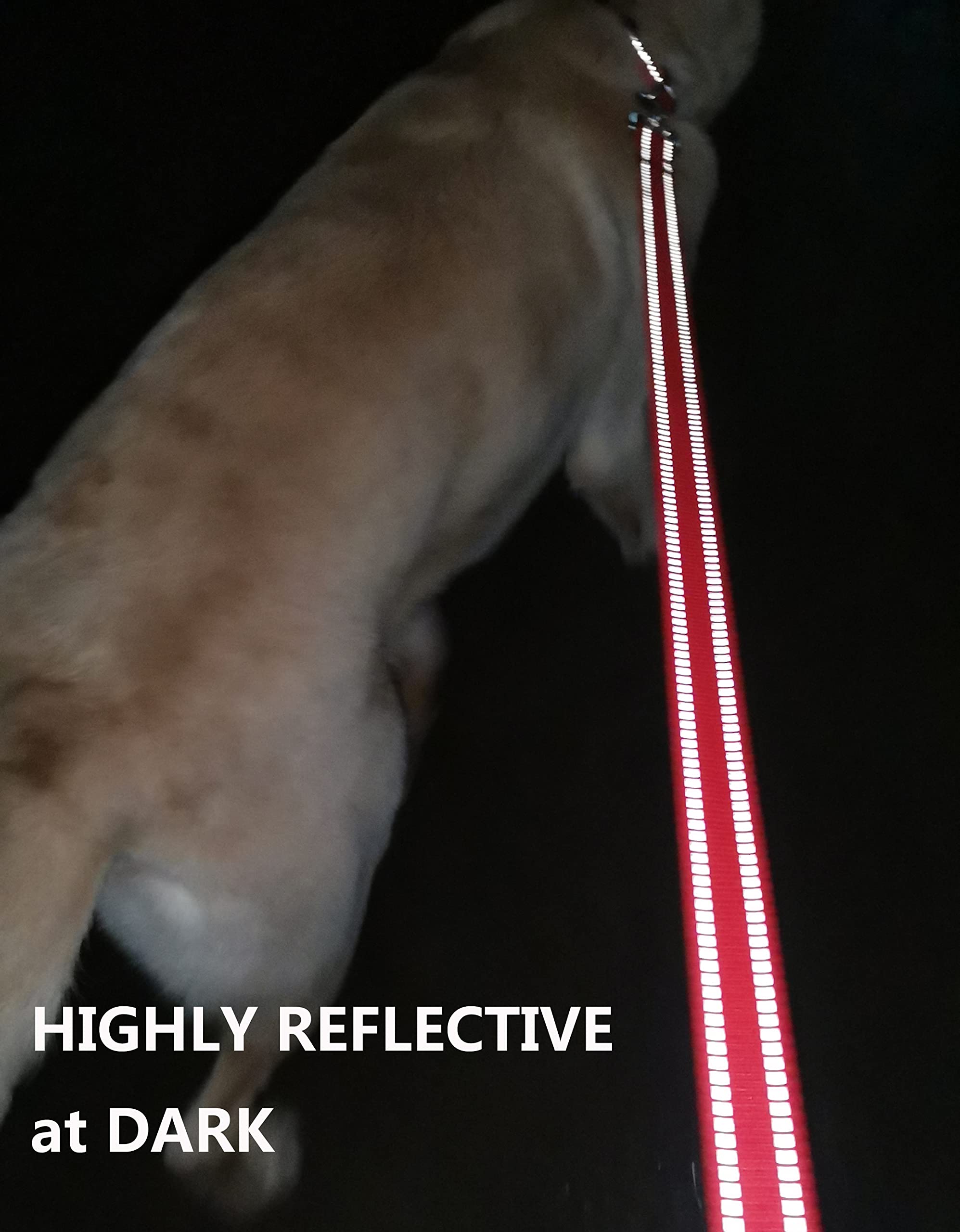 OEFEO 6FT Reflective Dog Leash for Large&Medium and Small Dogs, Strong and Durable Nylon Leashes for Walking and Training, Heavy Duty 6 Foot Dog Leash with D Ring for Puppy (Turquoise, 5/8 inch X 6FT) -Like New