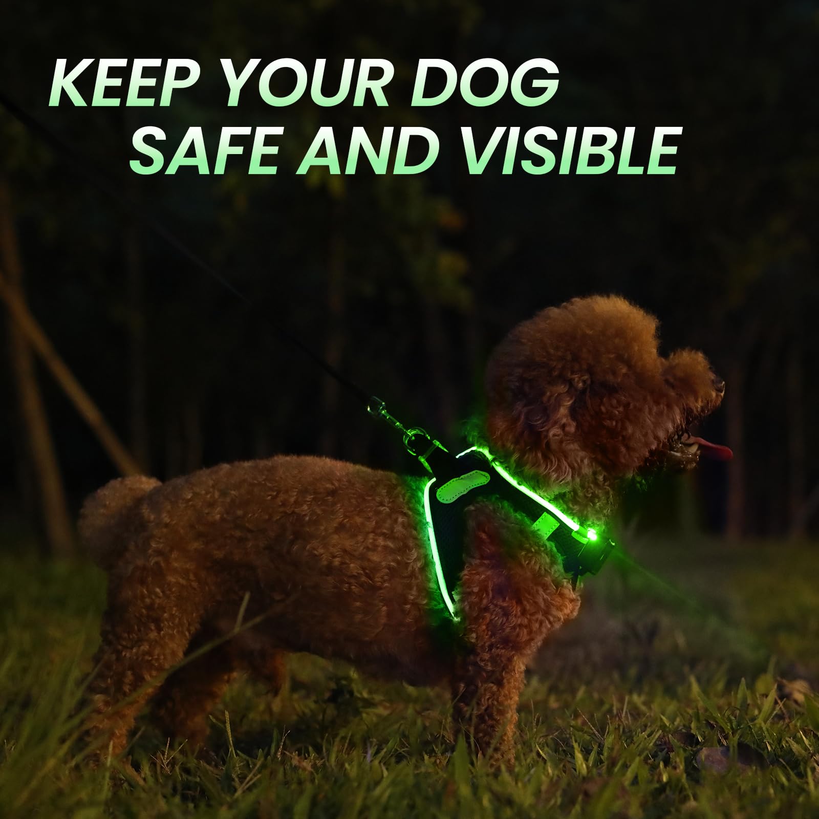 Pceotllar Led Dog Harness For Puppy - Small/Medium, Rechargeable No-Pull, Reflective Flashing For Night Walking (Green)