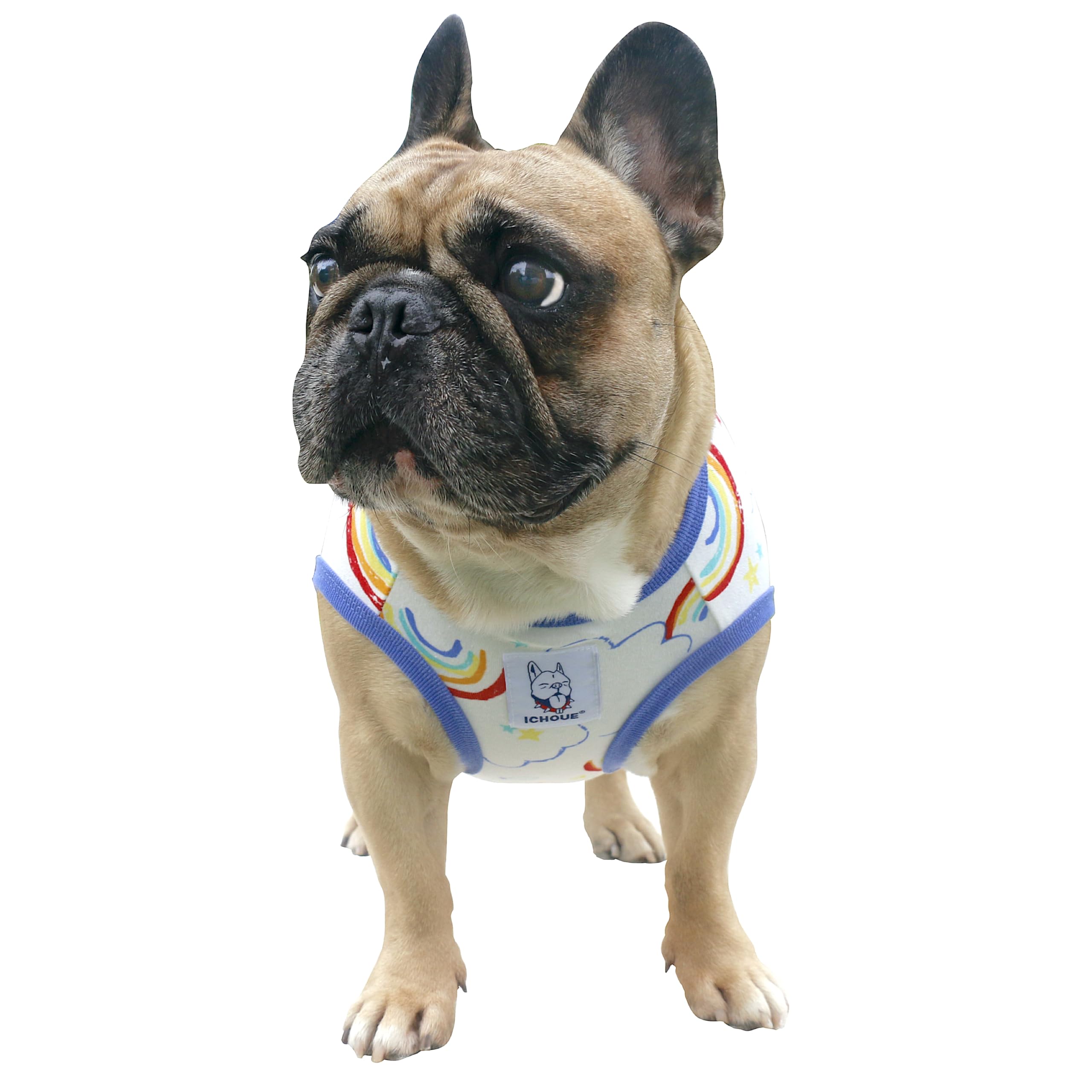 iChoue 100% Breathable Cotton French Bulldog Halloween Cartoon T Shirts Cute Clothes for Medium Dogs Vest Tank Tops Frenchie Eng