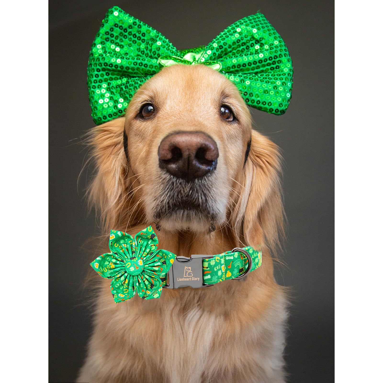 Lionheart Glory St. Patrick'S Day Collar With Flower Design For Medium Dogs, Green Collar With Lucky Clover Shamrock Pattern, He