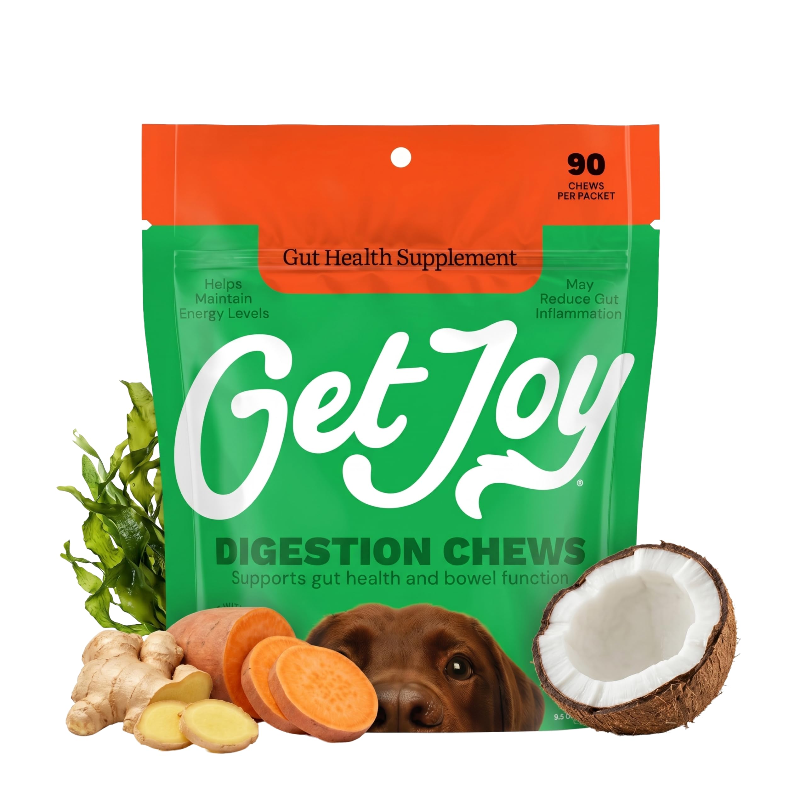 Get Joy Digestion Chews, Gut Health Supplement for Dogs, Vet Recommended Soft Daily Digestive Health & Immune Support with Prebi