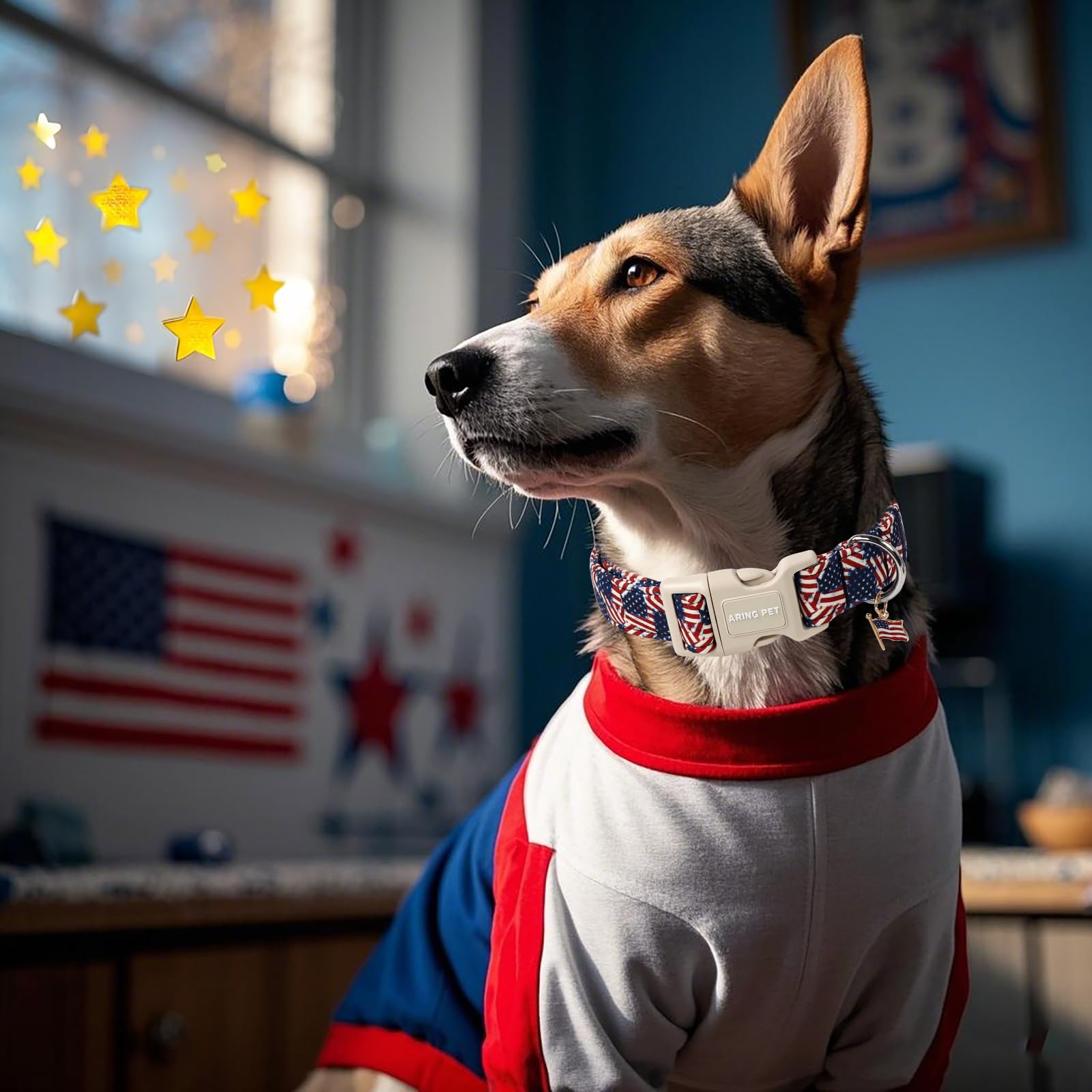 Aring Pet American Flag Dog Collar-Cute Patriotic Dog Collars, Adjustable 4Th Of July Pet Collars Puppy Collar With Quick Releas