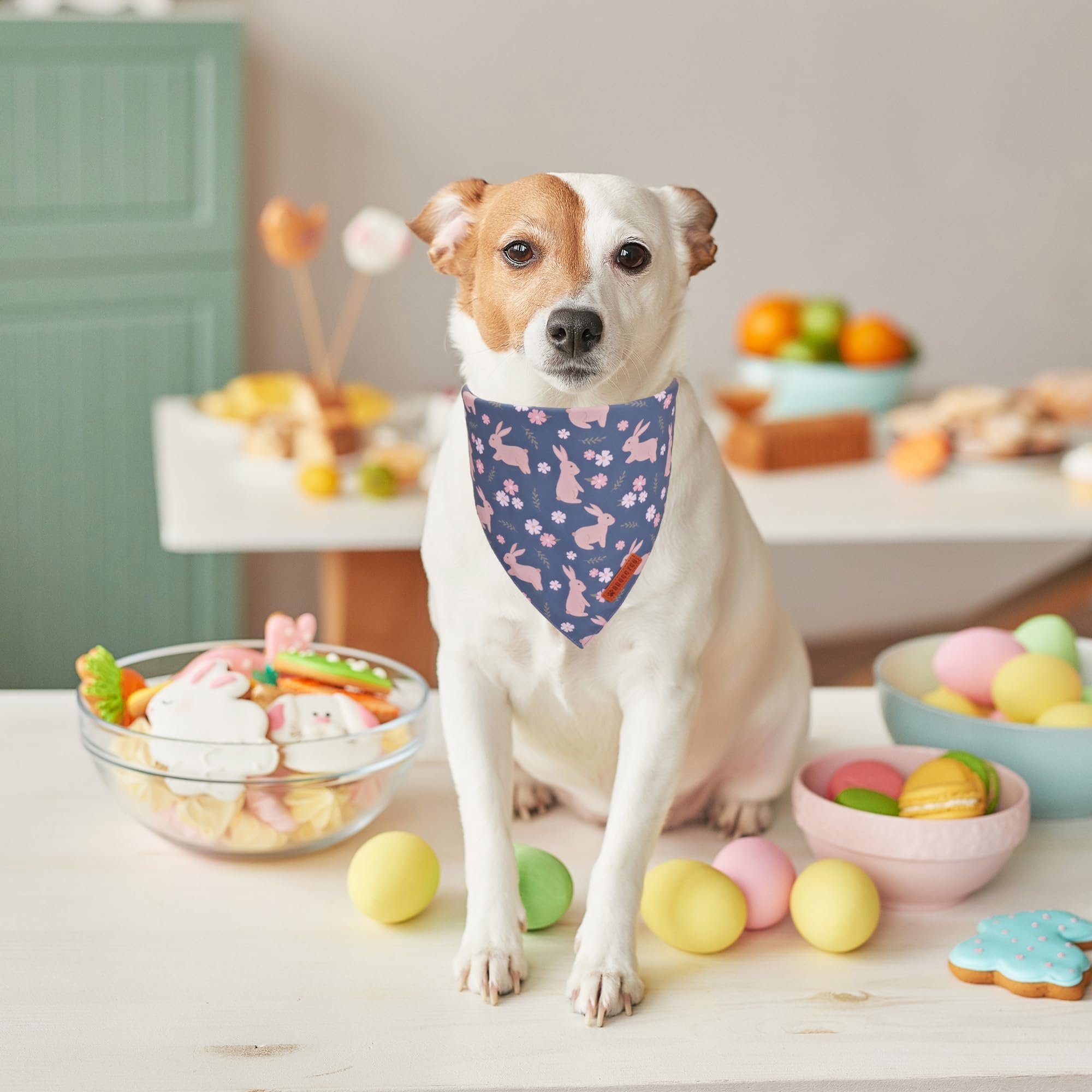 ADOGGYGO Easter Dog Bandanas, Reversible Bunny Floral Pet Scarf, Multi Size Offered, Rabbit Easter Bandana for Medium Large Dogs