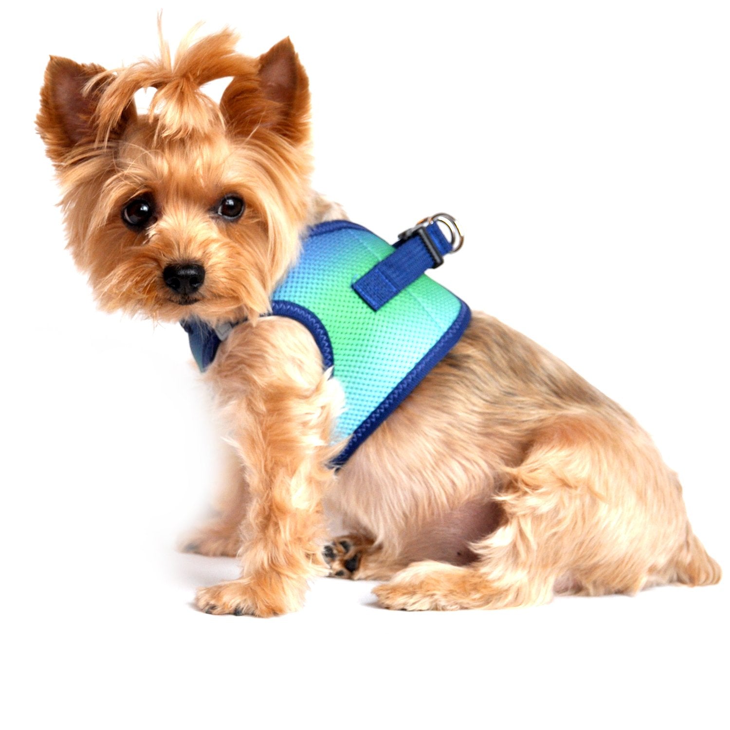 Doggie Design No Choke Dog Harness - Simple Step-In And Go Dog Vest For Small, Medium, And Large Breeds - Breathable Mesh Polyester Pet Harness - Northern Lights - L