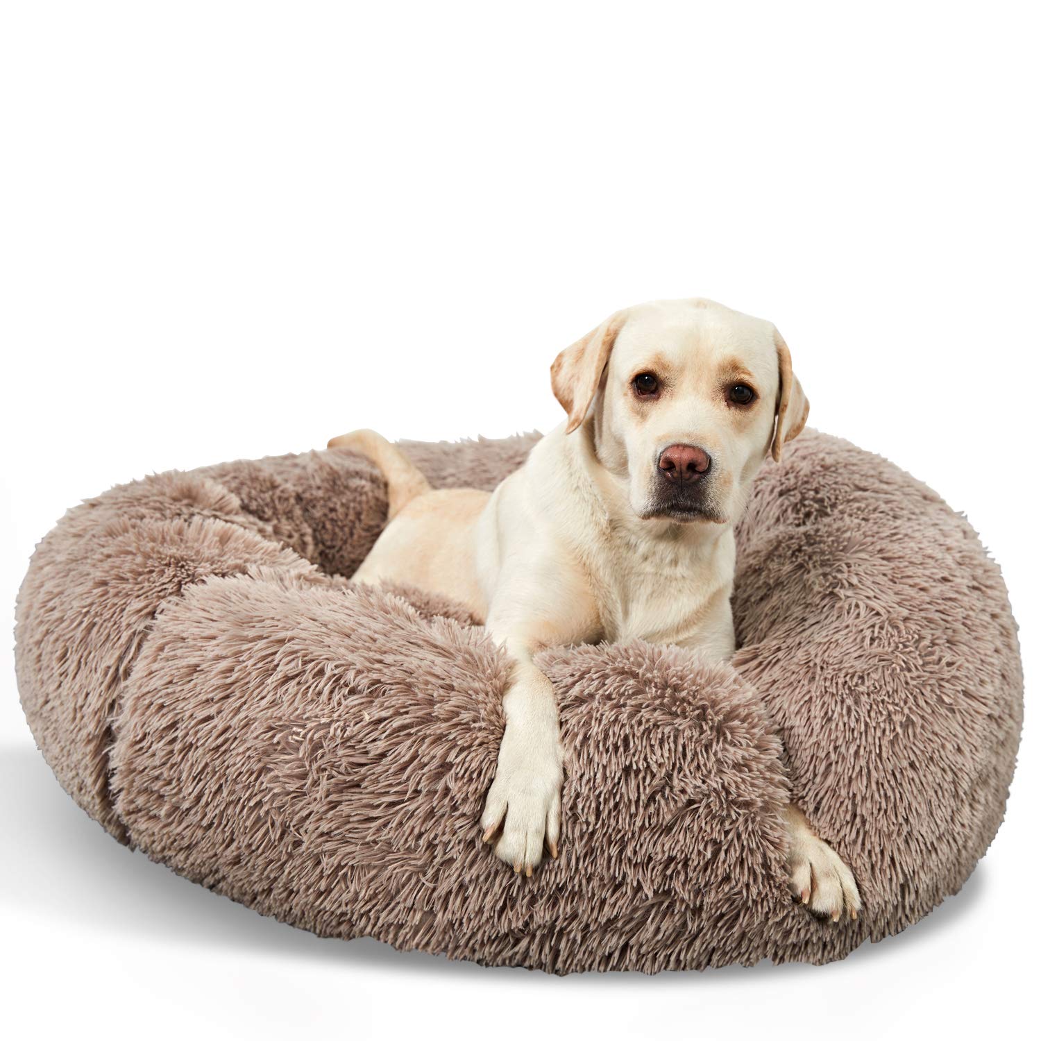 Washable Dog Round Bed Small, Donut Dog Bed Small Dog, Comfy Dog Calming Cuddler Bed