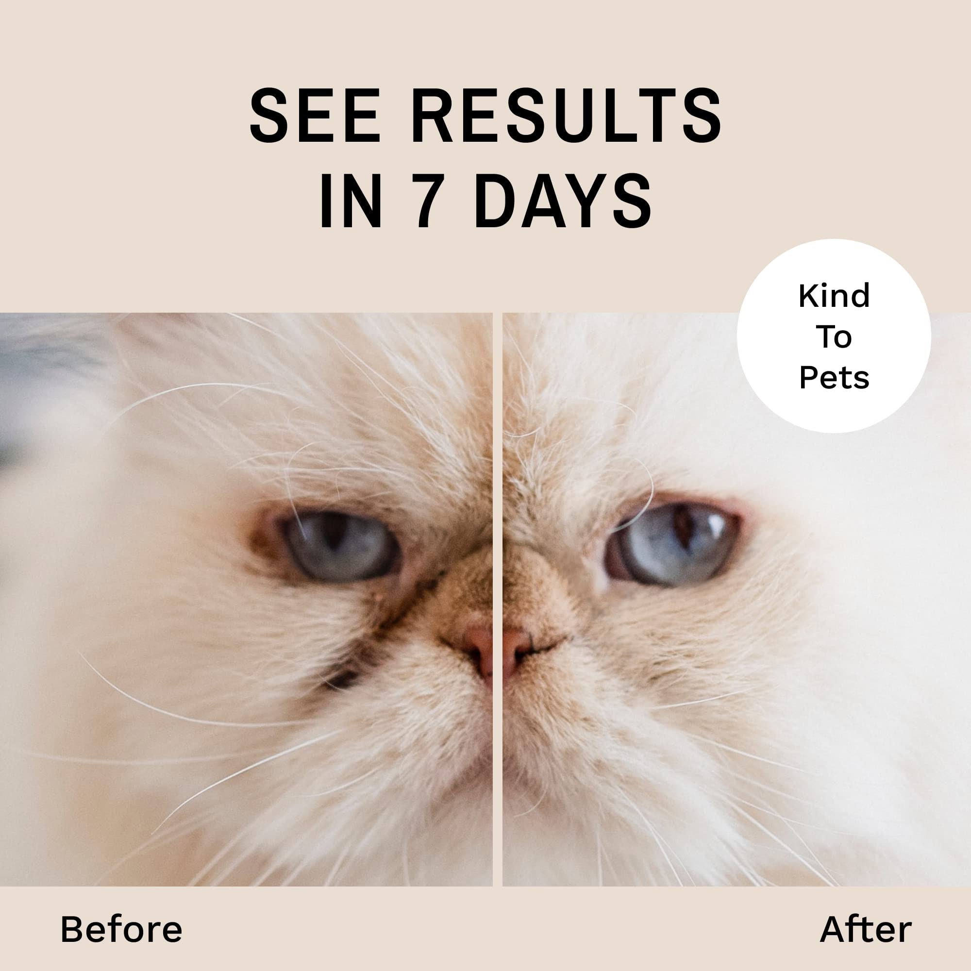 Eye Envy Tear Stain Remover Powder for Dogs and Cats. 100% Natural, Safe. Apply Around Eyes. Absorbs and Repels Tears. Keeps Are