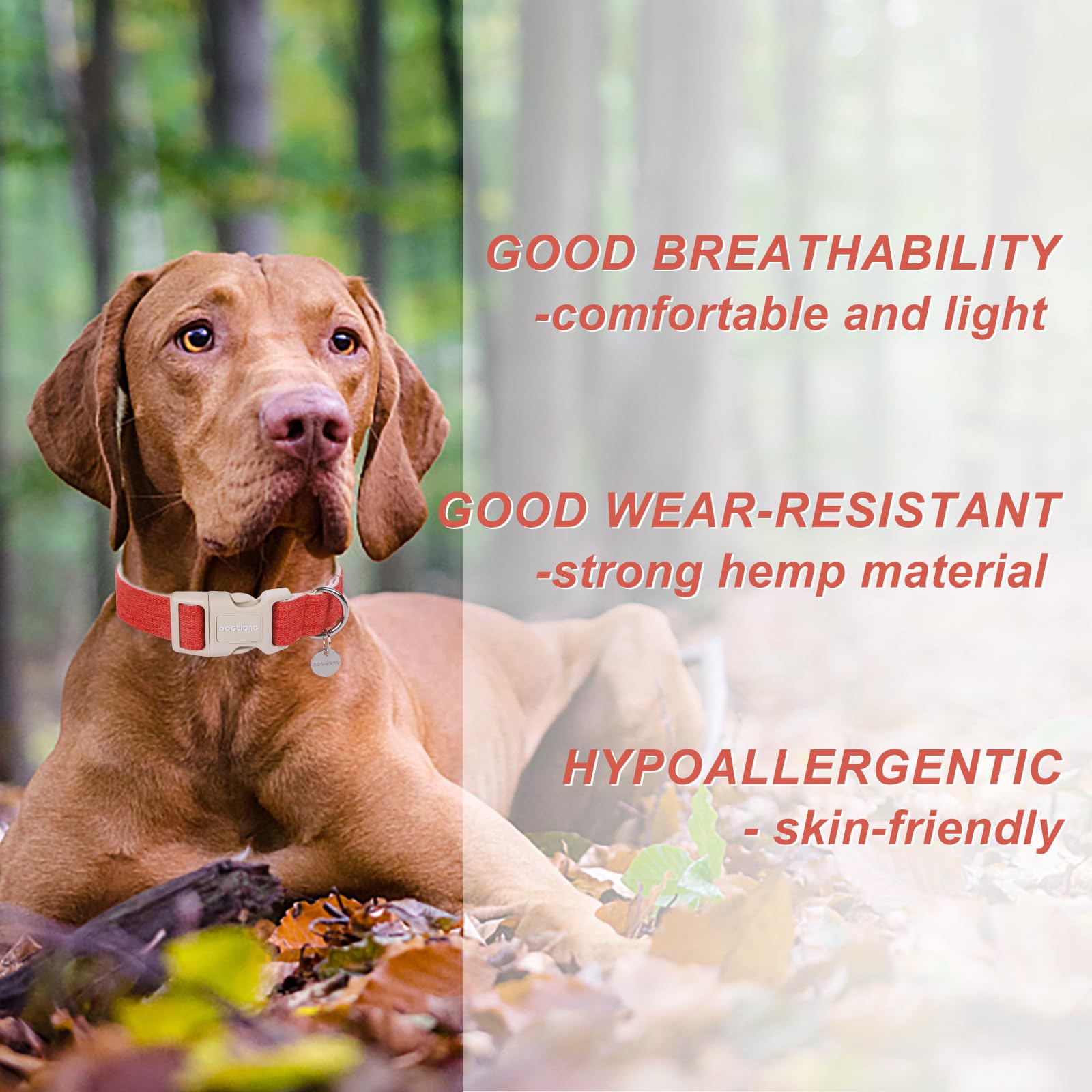 Dogwong Cotton Hemp Dog Collar, Heavy-Duty Orange Dog Collar Durable Soft Natural Fabric Pet Dog Collar Cute Fall Puppy Necklace