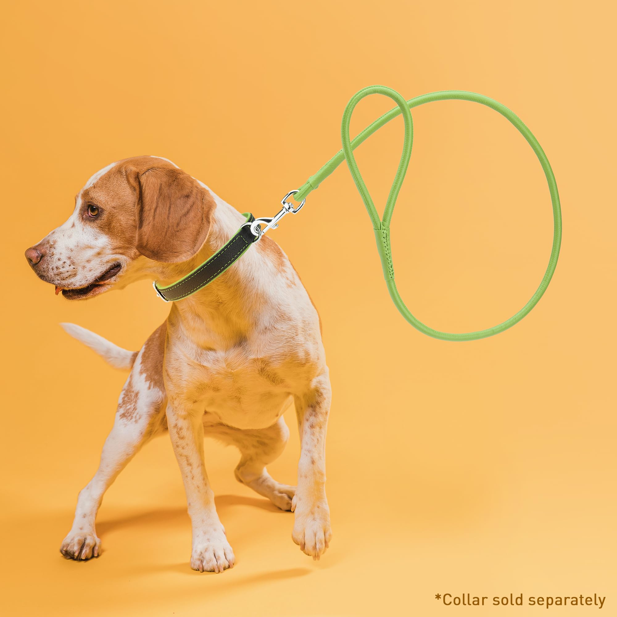 Dogline Soft And Padded Rolled Round Leather Leash For Dogs W3/8' - L72, Lime Green