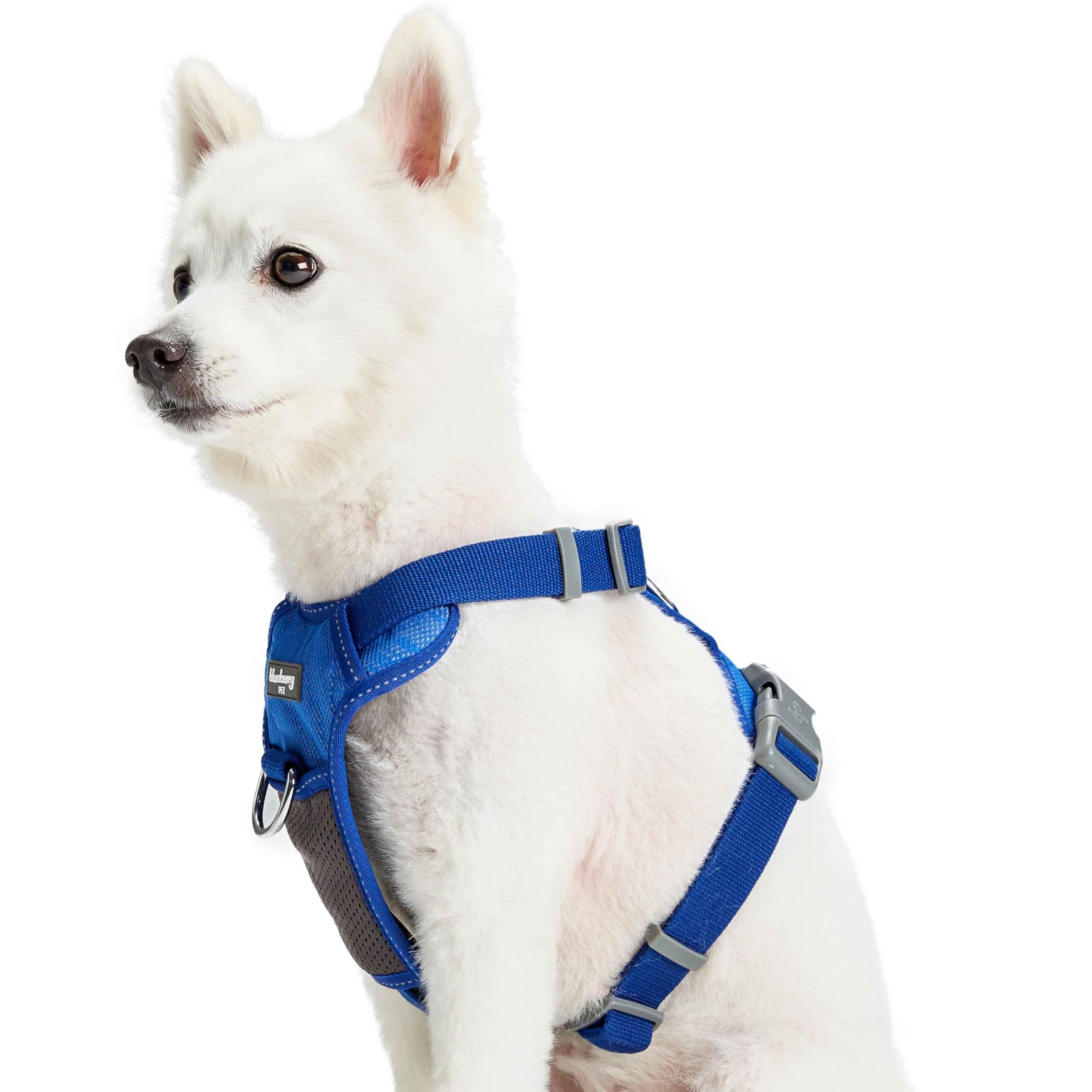 Blueberry Pet Soft & Comfy 3M Reflective Dog Harness Vest | Mesh Padded No Pull | Multi-Colored Stripe - Blue | Adjustable For S