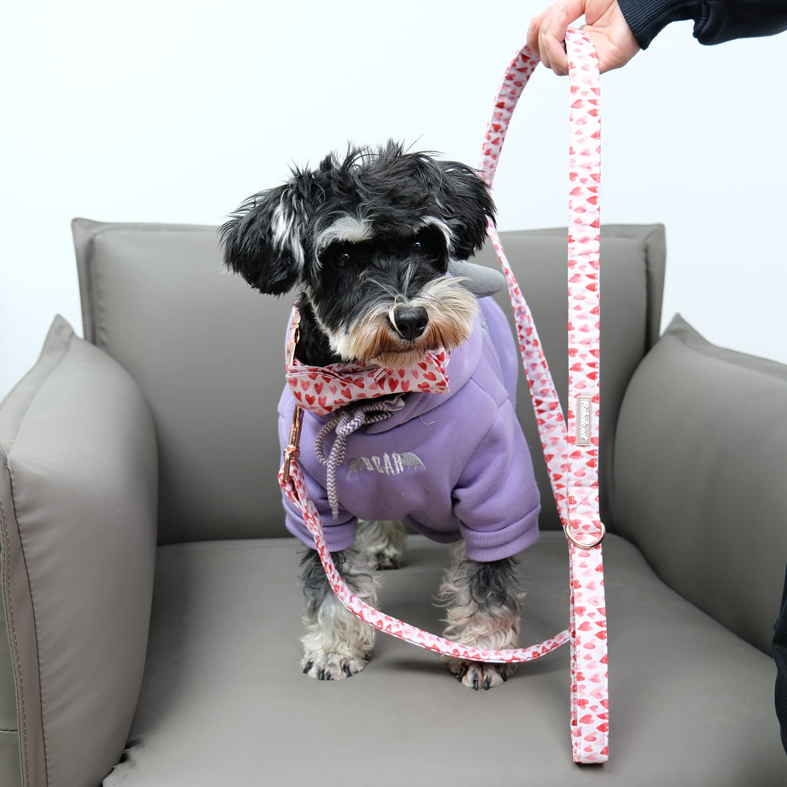 Babole Pet Valentine'S Day Dog Leash,Durable Handmade Dog Leashes With Soft Handle,Manual Dog Leashes Matching White Red Pink Love Dog Collars For Small Medium Large Dogs,Xs,Lenth 120Cm