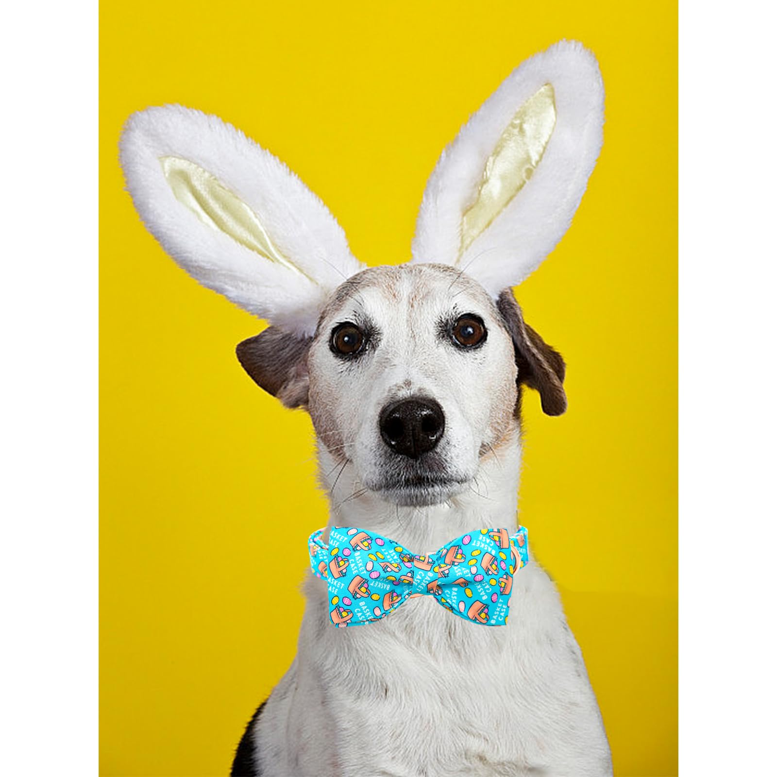 Lionheart Glory Dog Bow Collar Easter Day Dog Collar For Medium Dogs,Easter Egg Dog Collars With Bowtie Colorful Dog Collar Spri