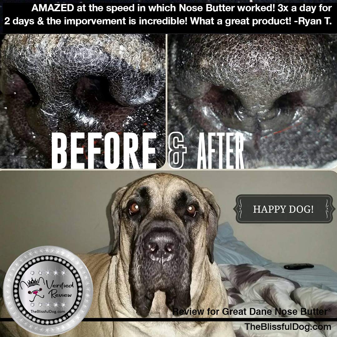The Blissful Dog Great Dane Unscented Nose Butter - Dog Nose Butter, 0.50 Ounce