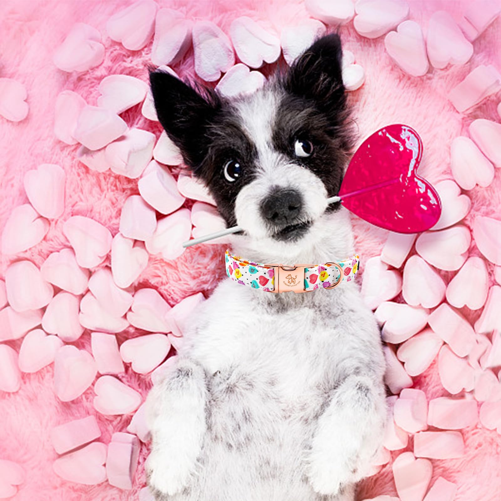 Elegant Little Tail Valentine's Day Collar - Pink Heart Cute Dog Collar, Adjustable for Small Dogs