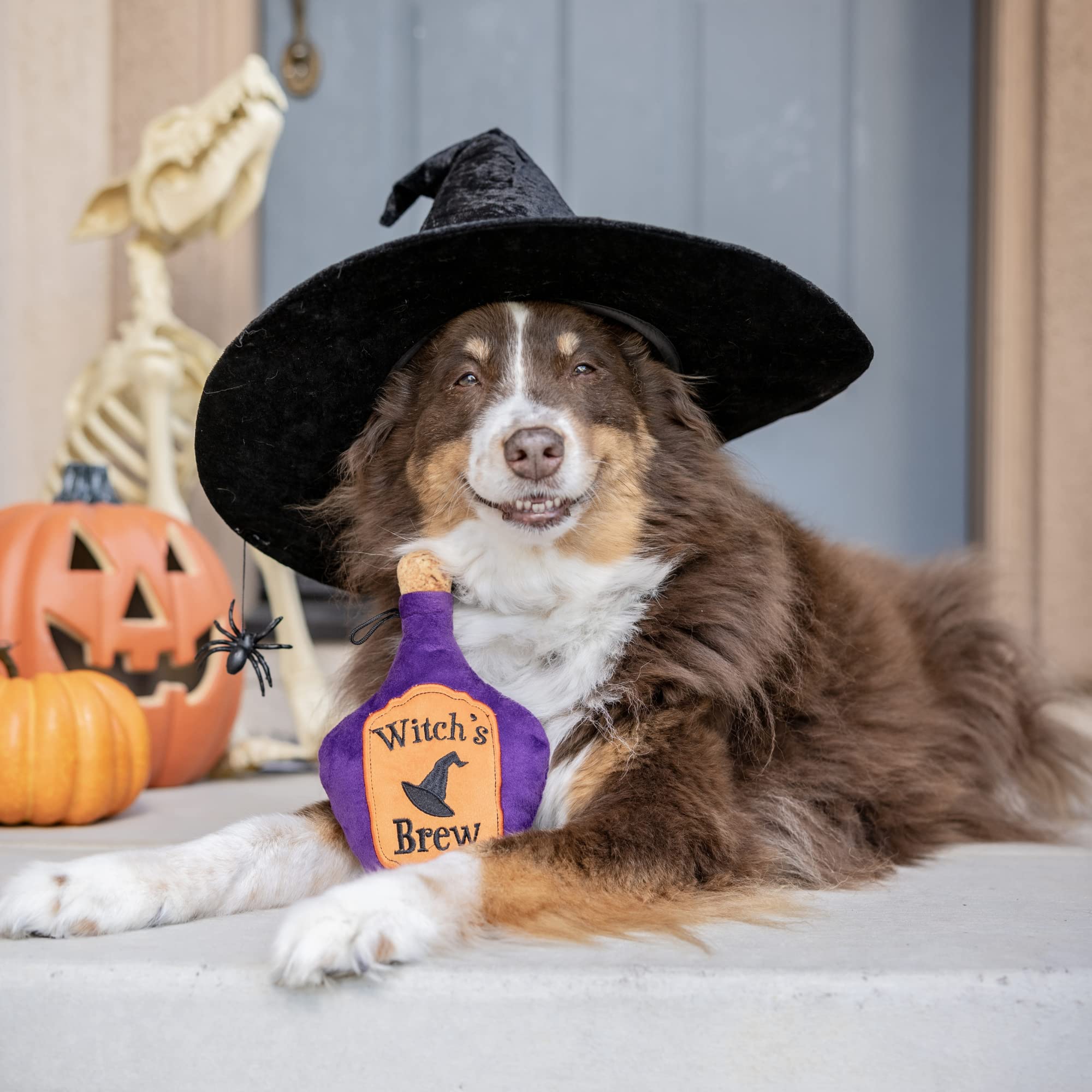 Huxley & Kent For Dogs | Witch'S Brew | Halloween Power Plush Dog Toy With Squeaker | Funny Dog Toy Gift | Fun, Durable, And Safe | H&K Squeaky Dog Toys
