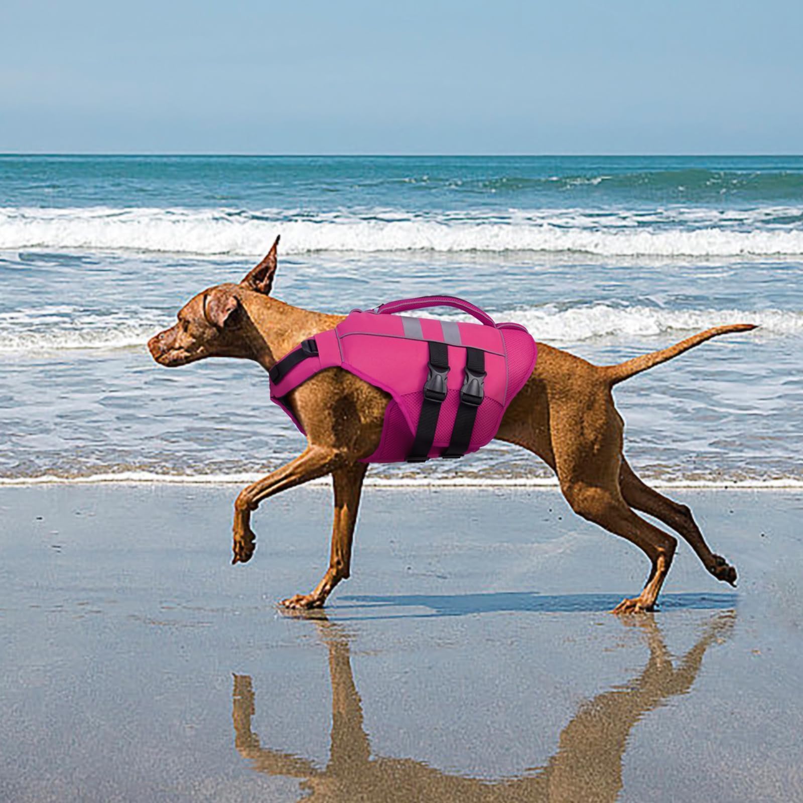 Kuoser Dog Life Jacket Large, High Flotation Dog Life Vest For Swimming Boating, Reflective Dog Swimming Vest Pet Life Preserver