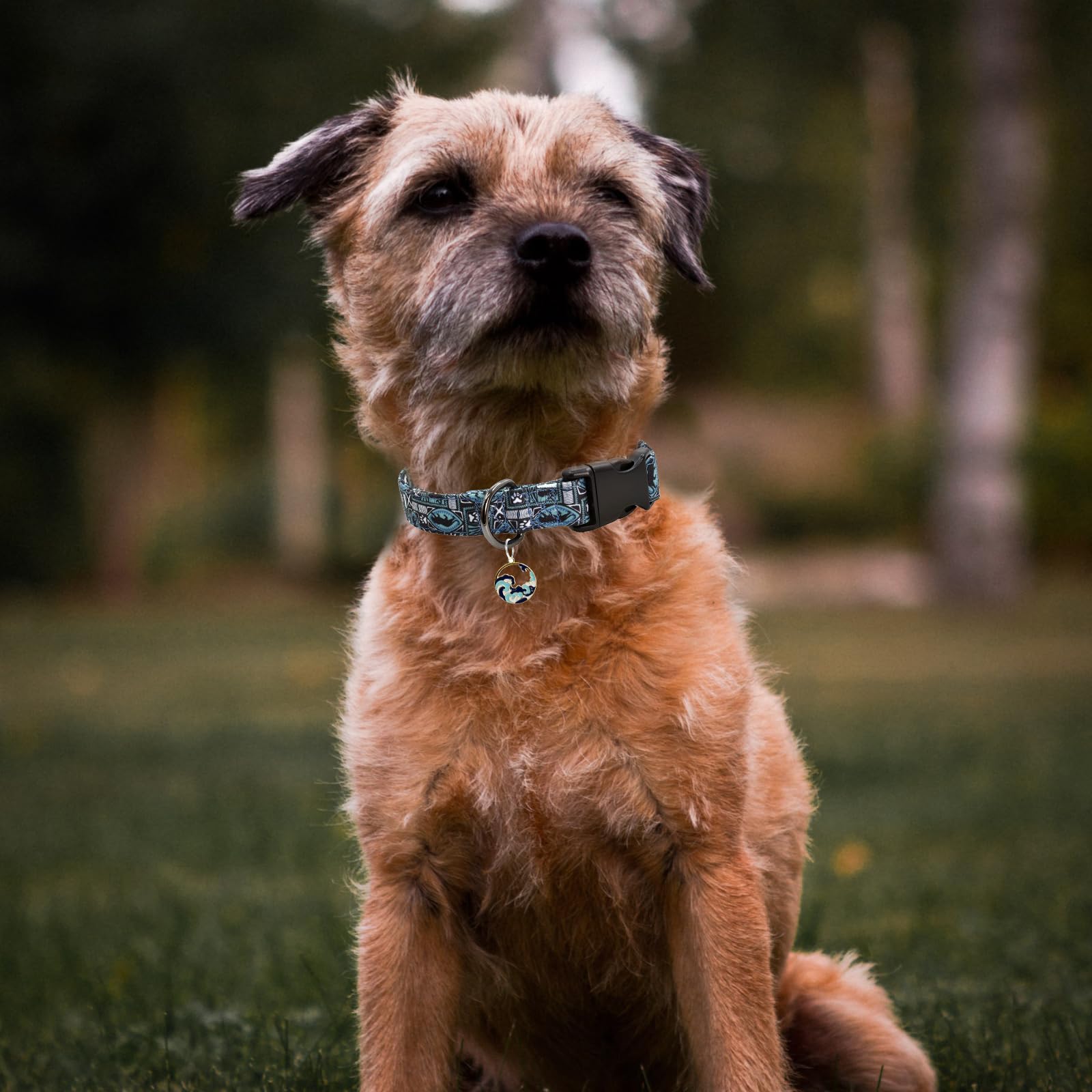Leopard Patterns Dog Collar With Pendant, Durable And Soft Cotton Dog Collars For Small Large Female And Male Dogs Pets (Leopard