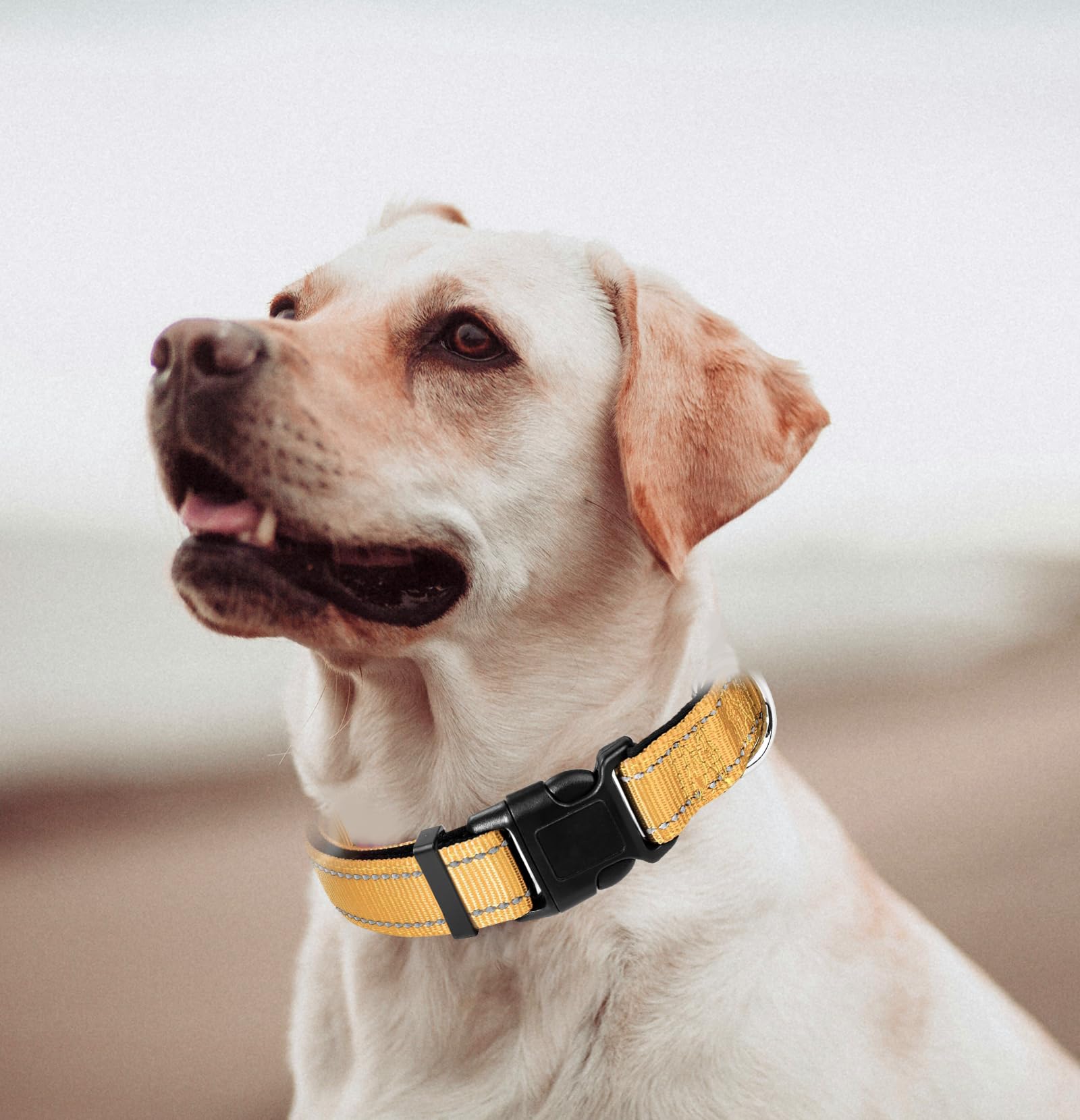 Medium Dog Collar, Reflective Pet Collar With Buckle Adjustable Safety Nylon Collars For Small Medium Large Dogs, Yellow