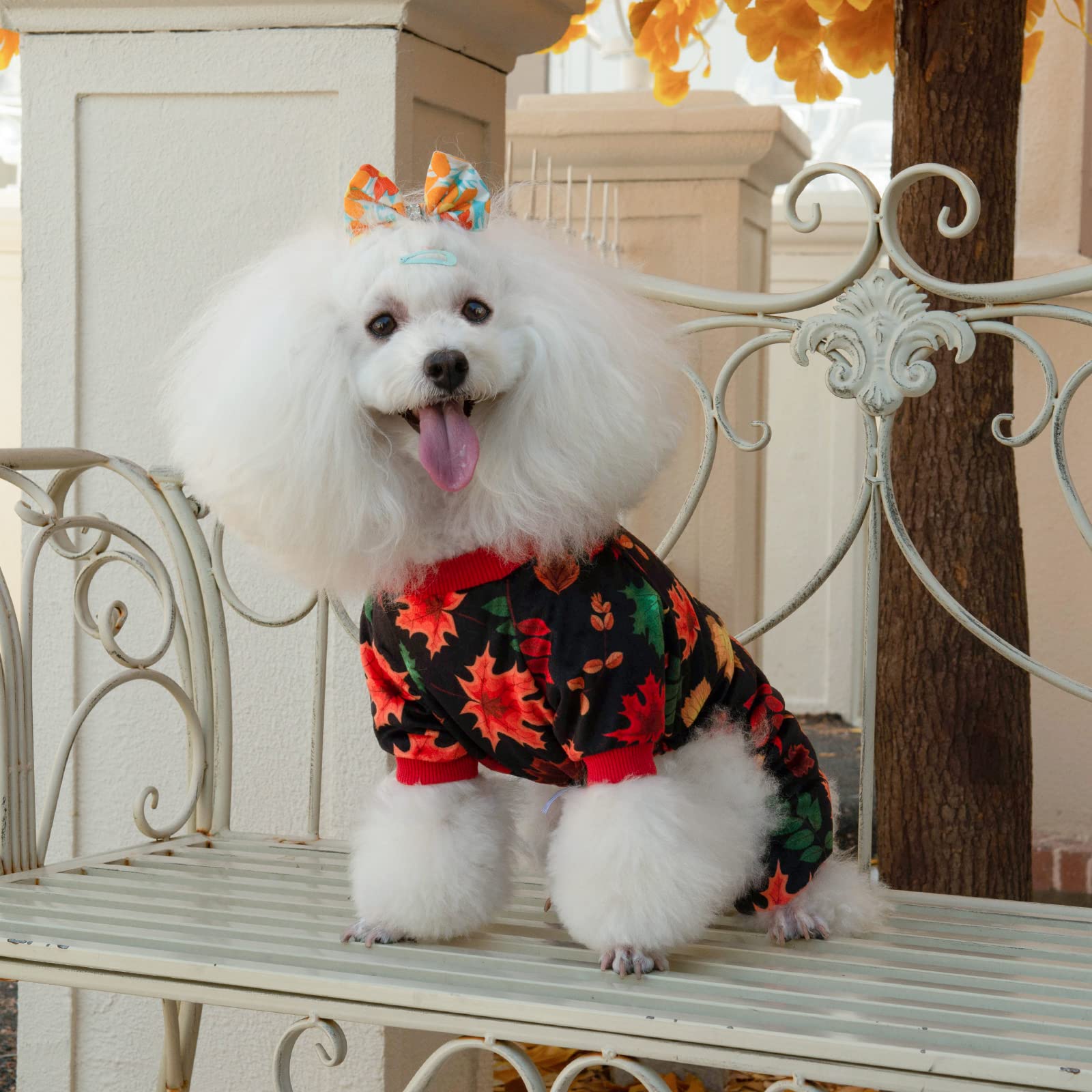 Cutebone Dog Halloween Pajamas Puppy Onesies Christmas Small Dogs Soft Pjs Coat Cat Apparel Comfy Pet Clothes Outfit Doggie Bodysuit P265M