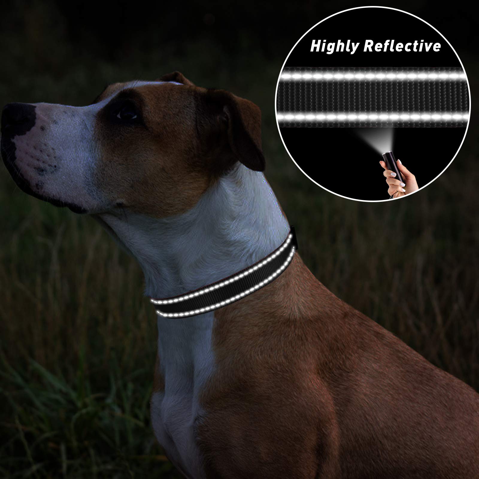 Tagme Small Dog Collar, Adjustable Reflective Nylon Dog Collar With Quick Release Buckle For Extra Small Dogs, Black, 5/8' Width