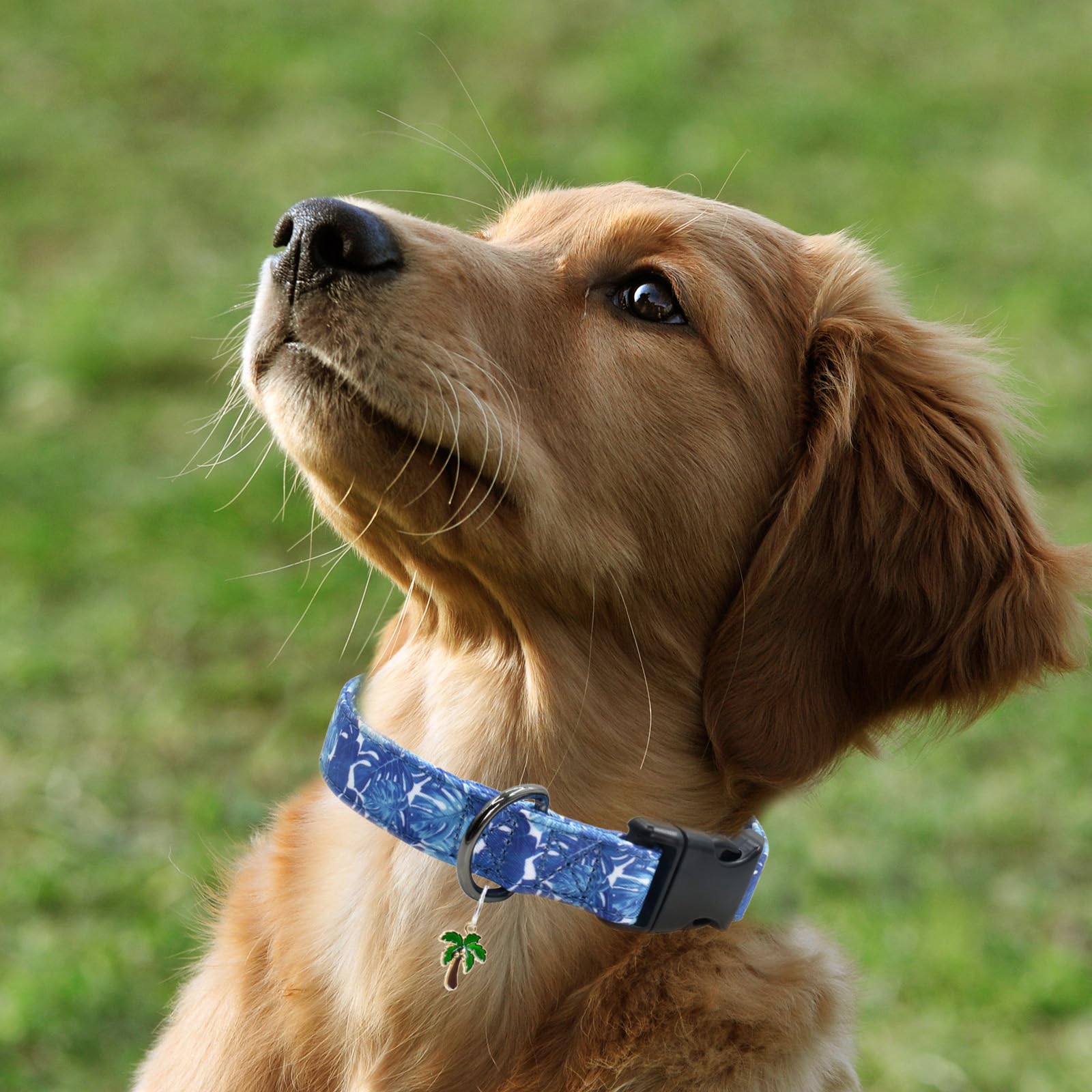 Flower Patterns Dog Collar With Accessories, Soft Cotton Dog Collars For Small Medium Large Female And Male Dogs(Palm Frond L)