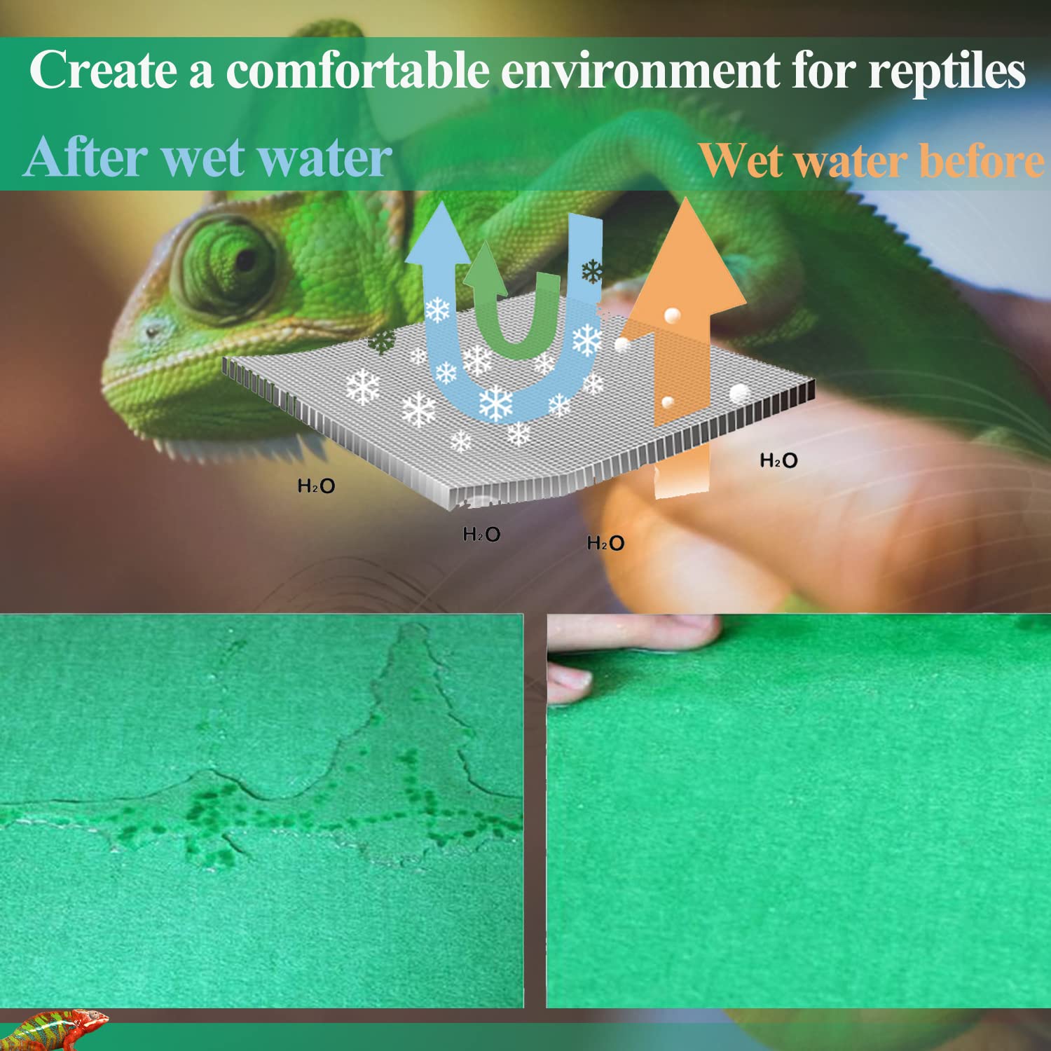 Hercocci 2 Pack Reptile Carpet, 39