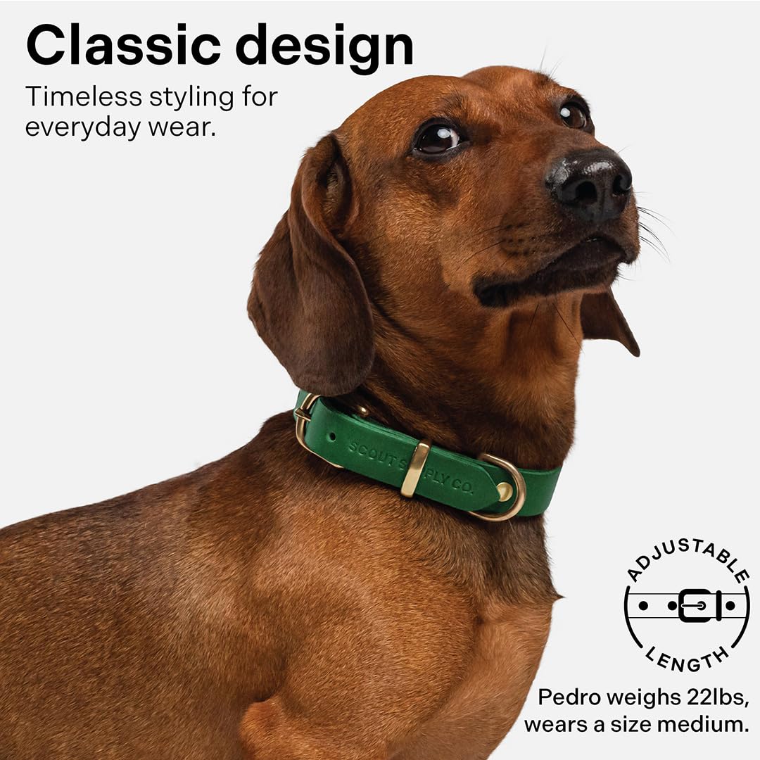 Scout Supply Classic Leather Dog Collar | Heavy Duty Thick Full Grain Leather | Waterproof & Rust-Proof Brass Hardware (Green, X