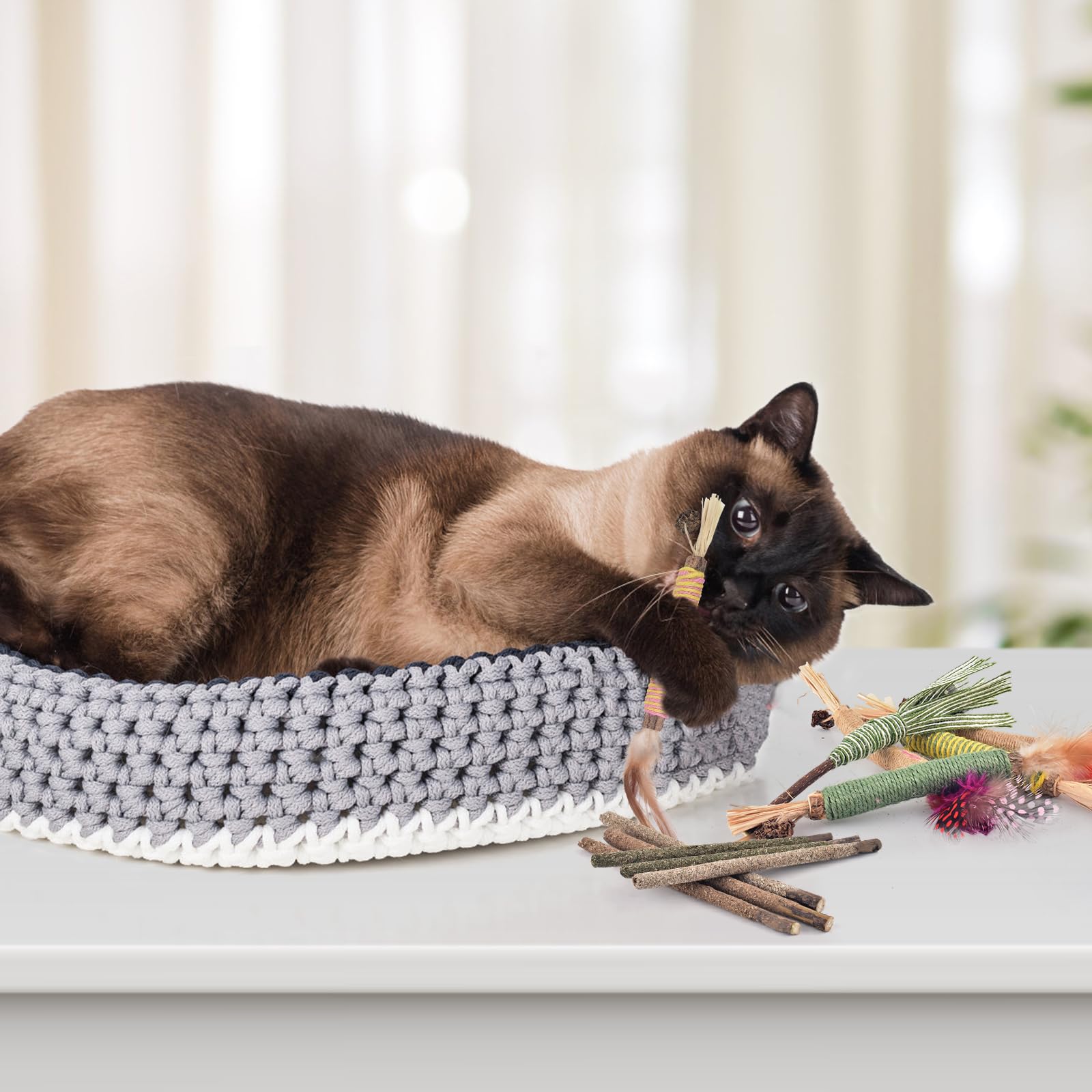 Bissap 16 Pcs Silvervine Chew Sticks For Cats, Catnip Chew Sticks Cat Toys For Indoor Cat Kitten Teeth Grinding Interactive Feat