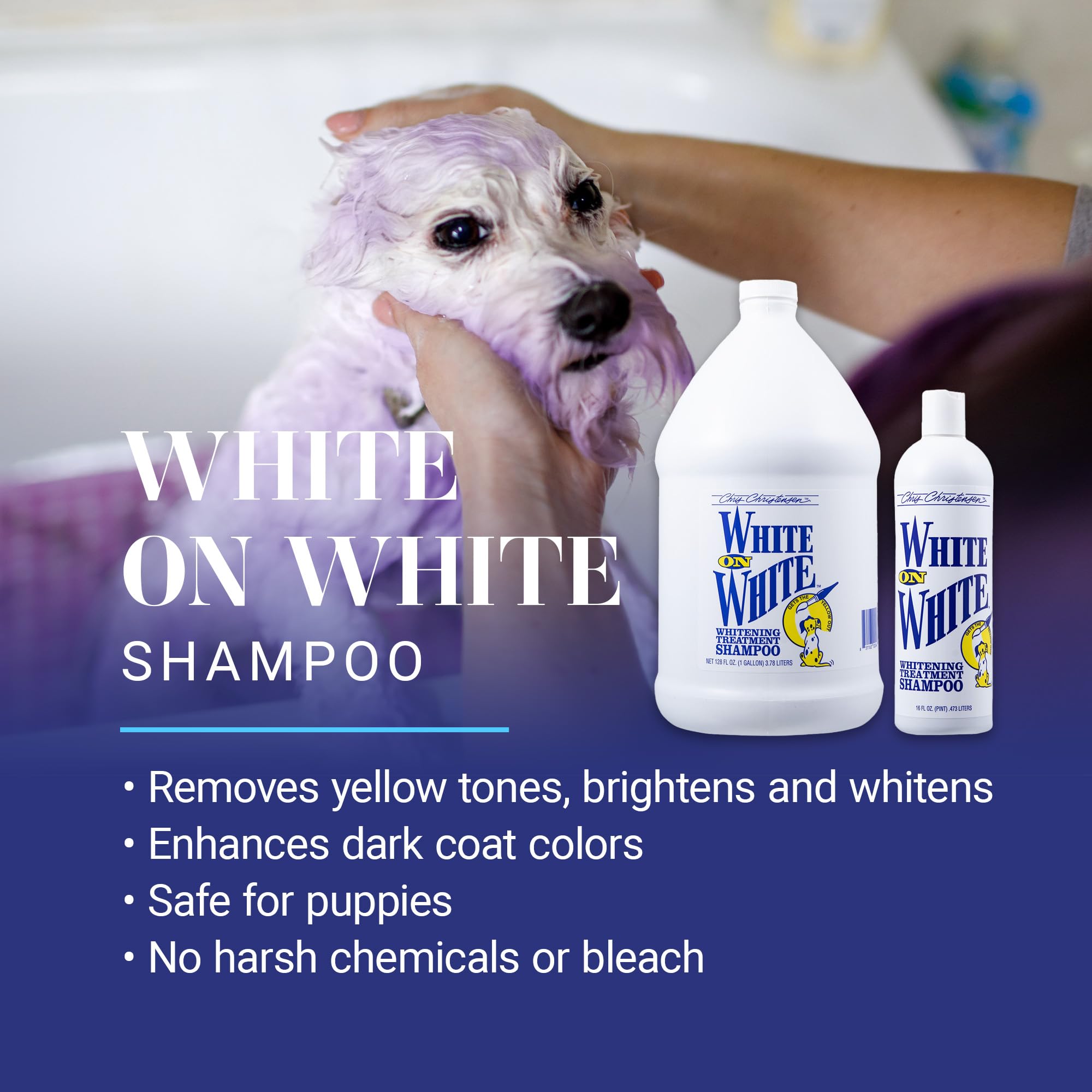 Chris Christensen White on White Whitening Treatment Dog Shampoo, Groom Like a Professional, Brightens White, Safely Removes Yel