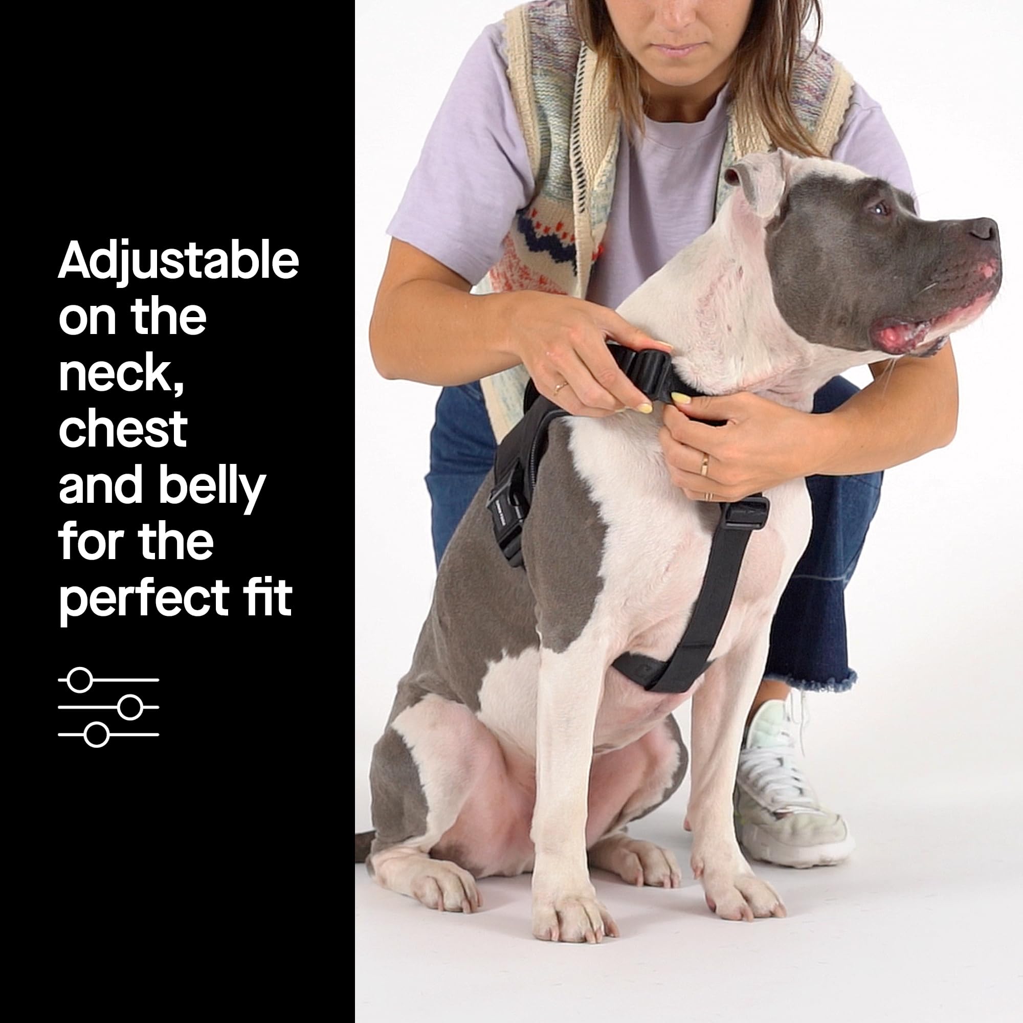 Canada Pooch Complete Control Dog Harness, Black, X-Large