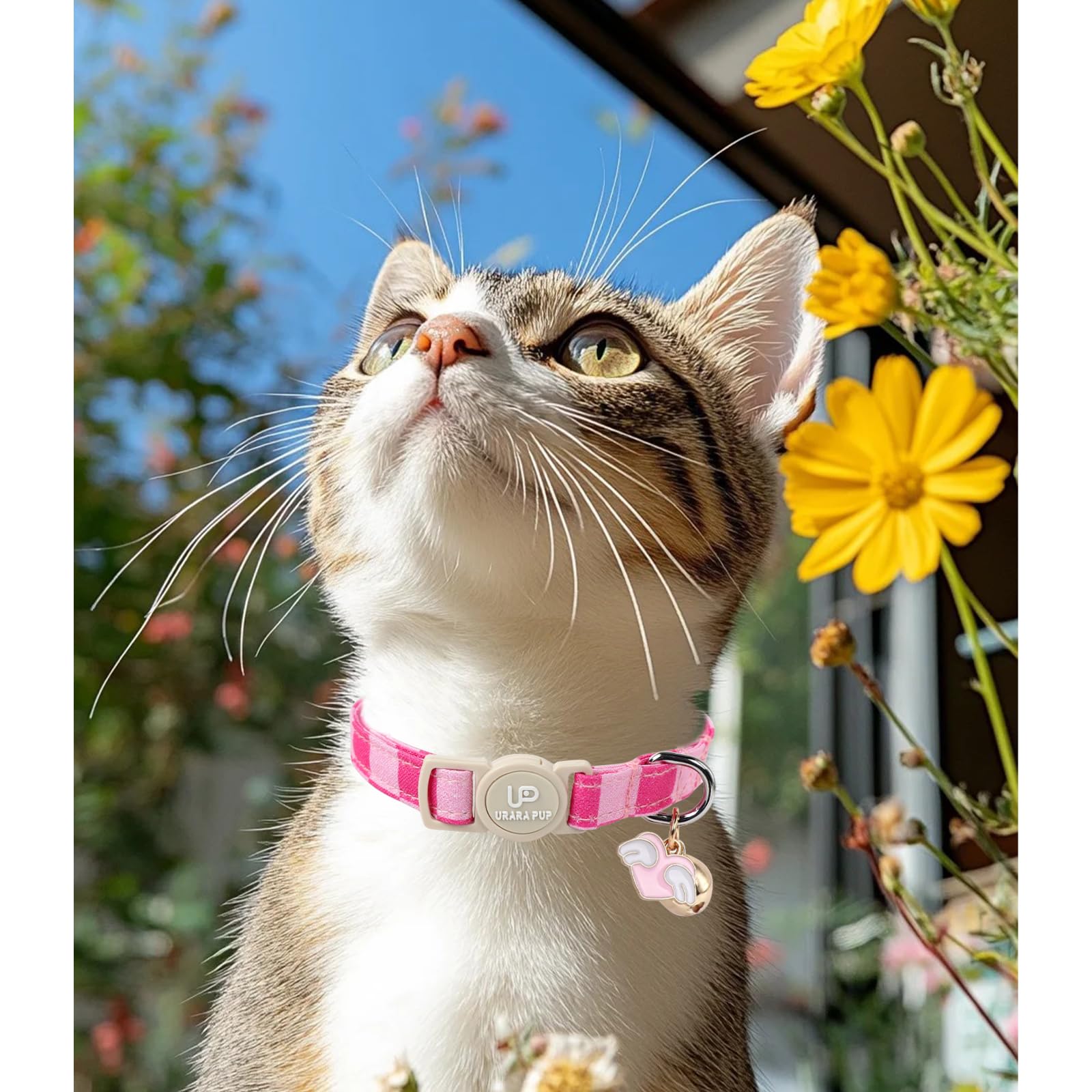 Up Urara Pup Cat Collar, 2Pack Cat Collars Cute Breakaway Kitty Collars, Summer Blue & Pink Grid Cat Collar With Bell, Holiday K