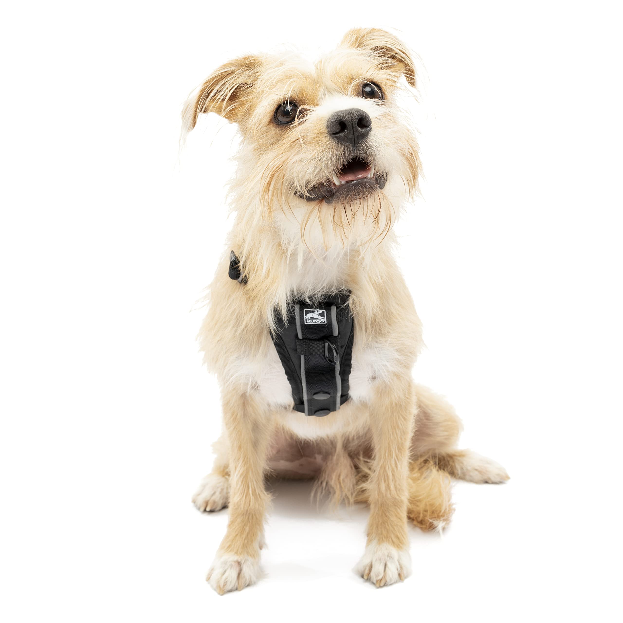 Kurgo Dog Harness | Pet Walking Harness | Small | Black | No Pull Harness Front Clip Feature For Training Included | Car Seat Belt | Tru-Fit Quick Release Style