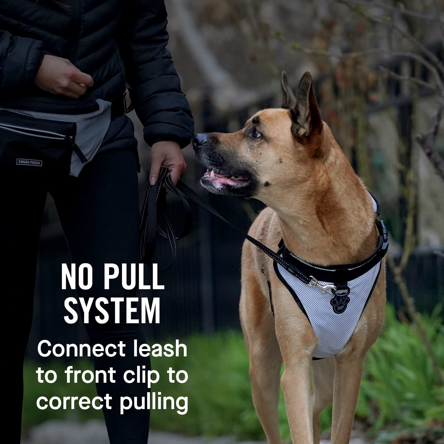 Canada Pooch Everything No Pull Dog Harness - Easy Walk Harness For Dogs With Breathable Mesh Exterior, Adjustable Dog Walking Harness Great For Dogs Reflective/M