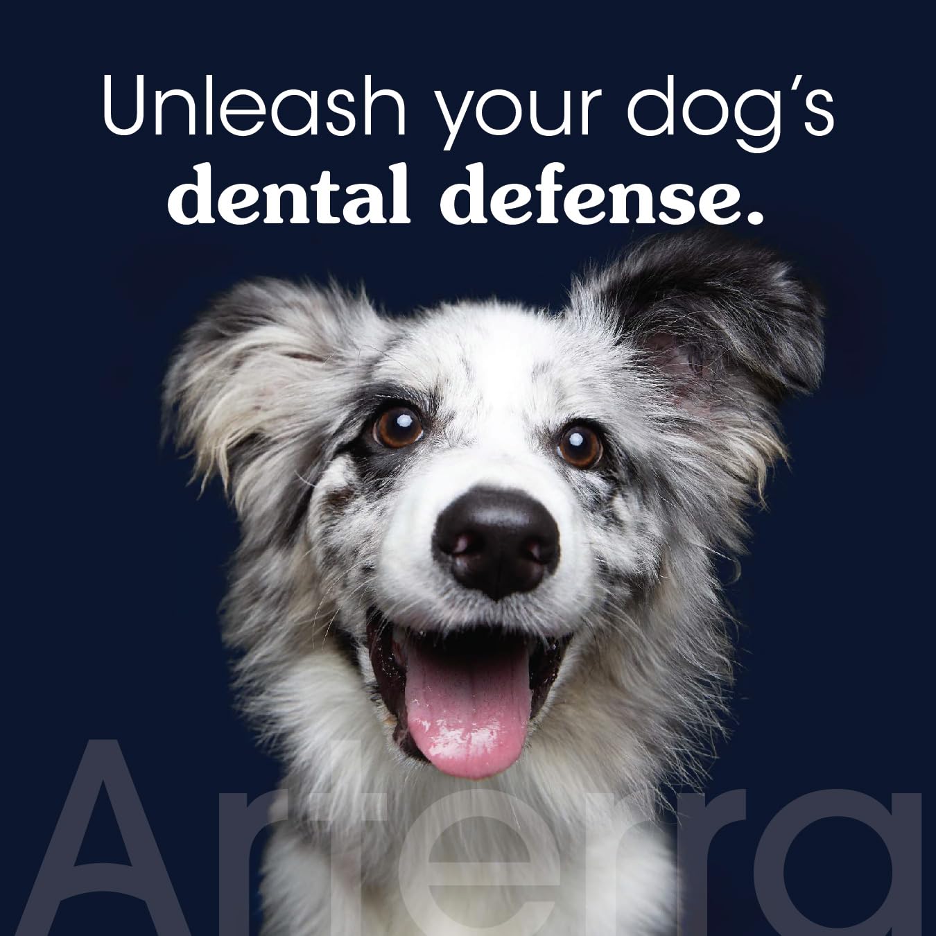 Remineralizing Dog Toothpaste - Vet-Grade, with Nano-Hydroxyapatite, Reverses Early-Stage Decay, Cleans Teeth, Reduces Tartar, F