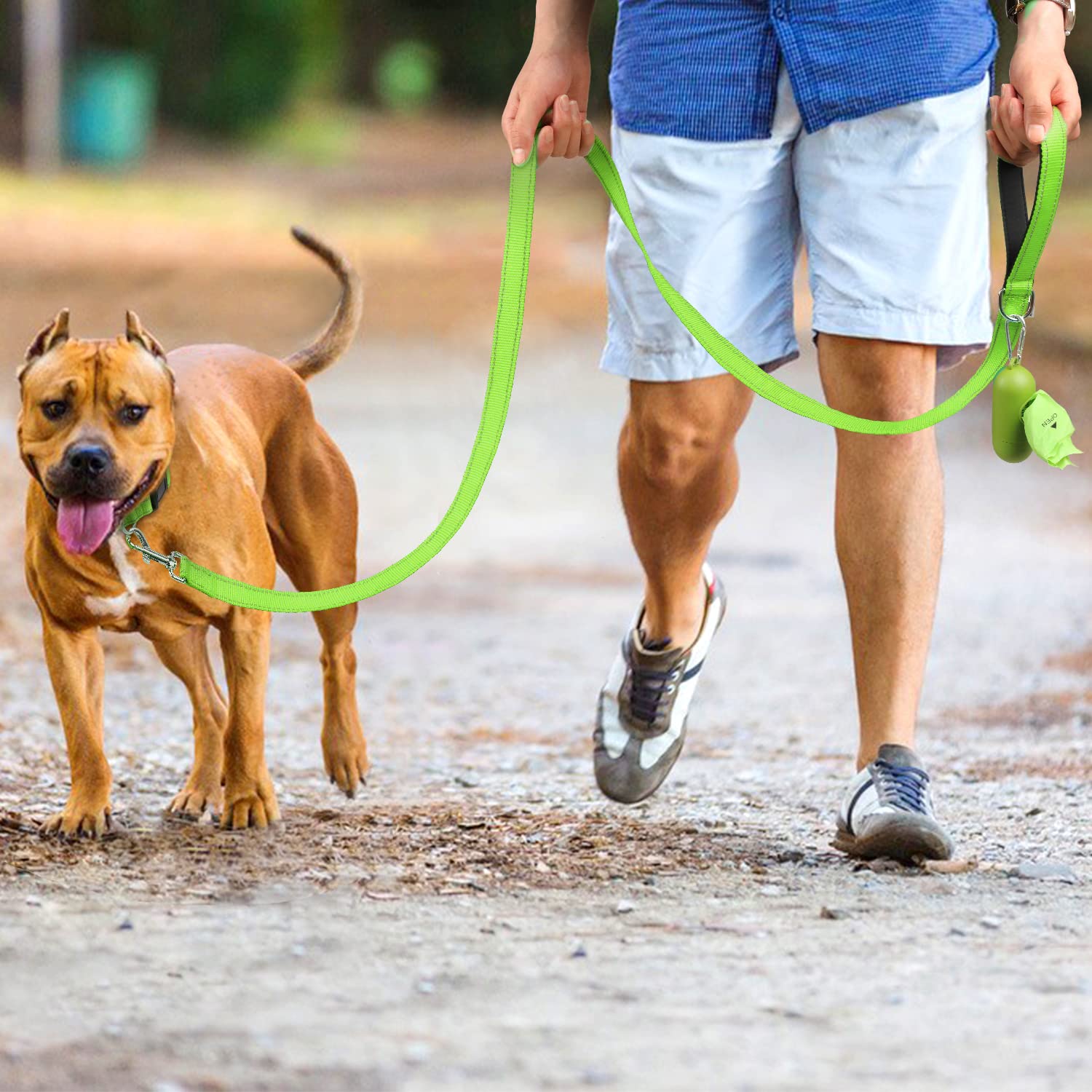 Joytale Double-Sided Reflective Dog Leash, 6 Ft/5 Ft/4 Ft, Padded Handle Nylon Dogs Leashes For Medium & Large Dogs Walking, Green, 5Ft