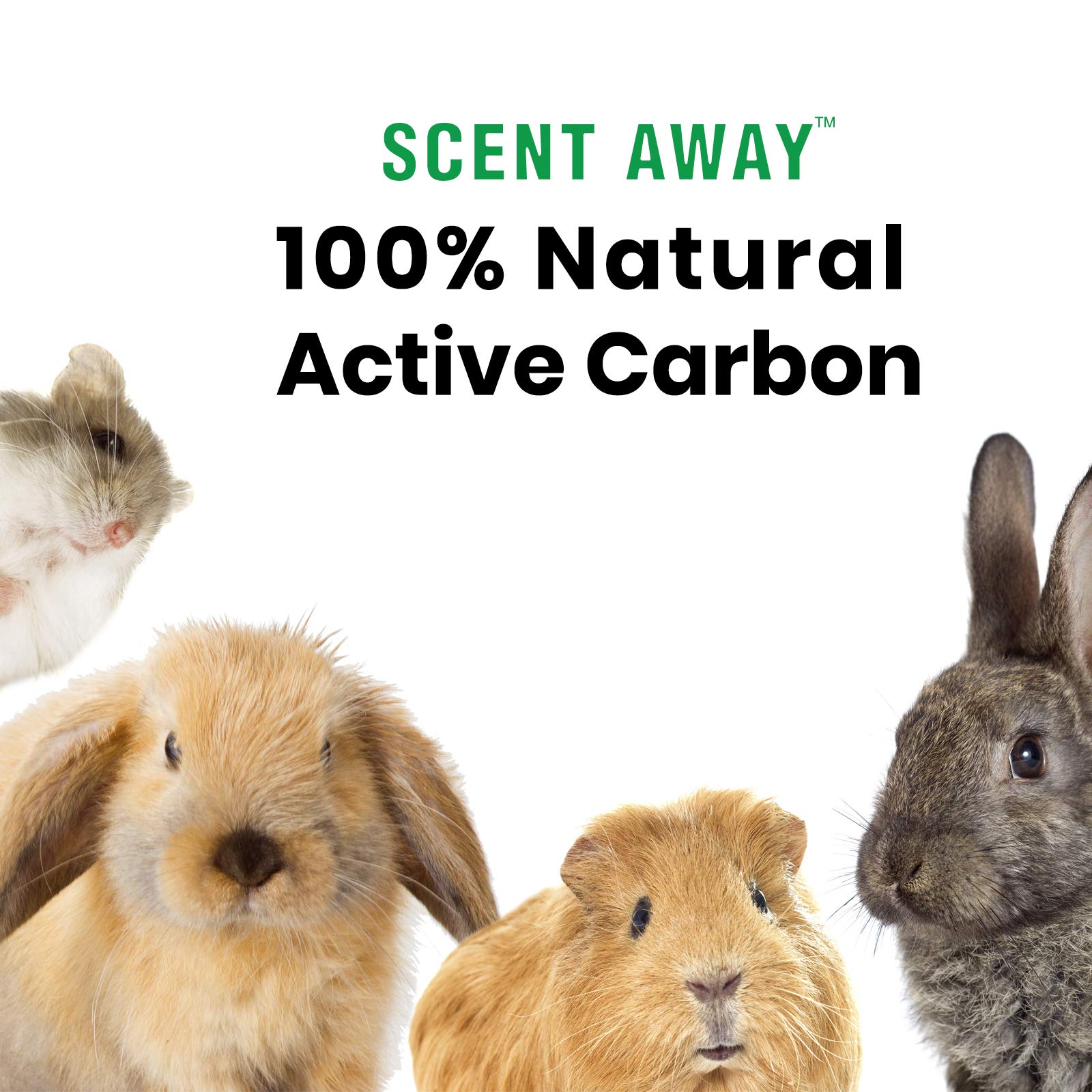 SCENT AWAY | Small Animal Bedding Deodorizer | 100% Natural & Fragrance Free, Non-Toxic Pet Odor Eliminator for Home | Active Ca
