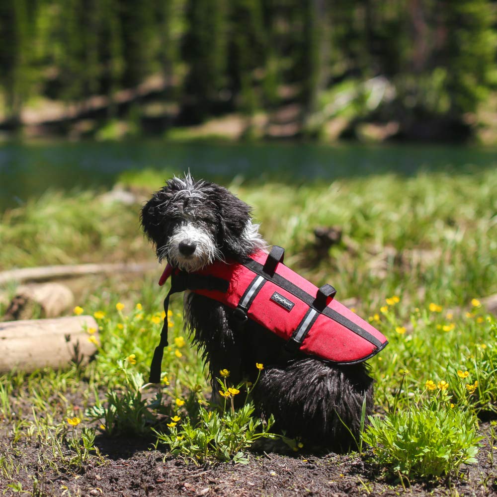ZippyPaws Adventure Dog Lifejacket - Red, X-Small, for Swimming & Swim Training, Model ZP497