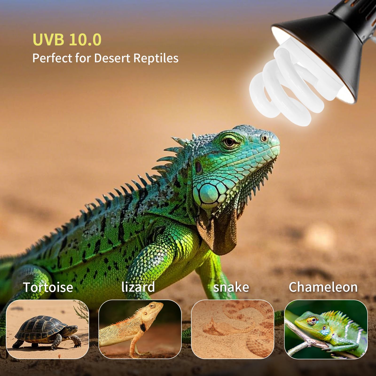 Yimidool Uvb Light For Reptiles, 9W 5.0 Reptile Heat Lamp Bulbs, Uva Uvb Reptiles Light Bulbs Ideal For Rainforest Reptiles, Bea